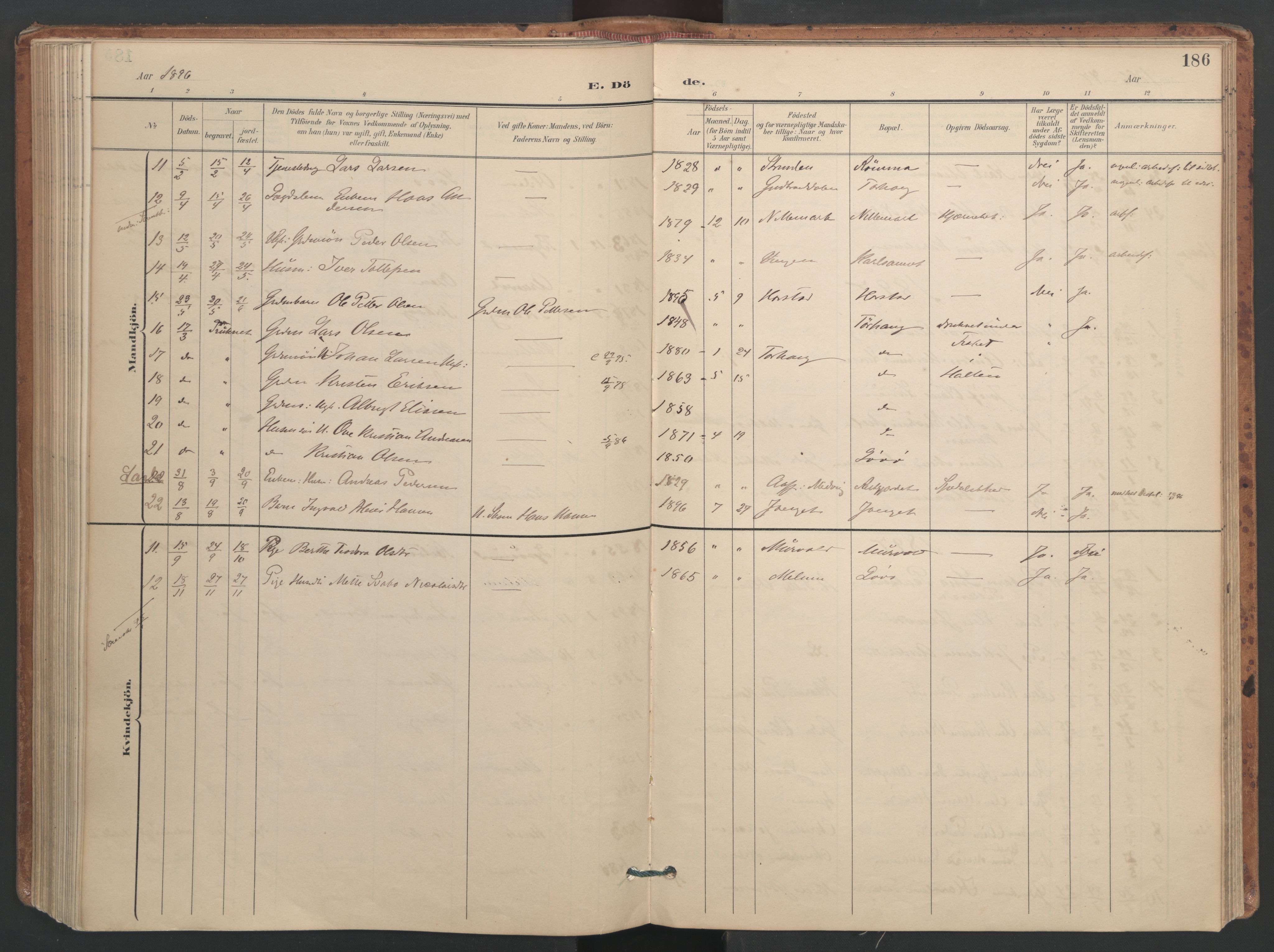 Ministerialprotokoller, klokkerbøker og fødselsregistre - Sør-Trøndelag, AV/SAT-A-1456/655/L0681: Parish register (official) no. 655A10, 1895-1907, p. 186