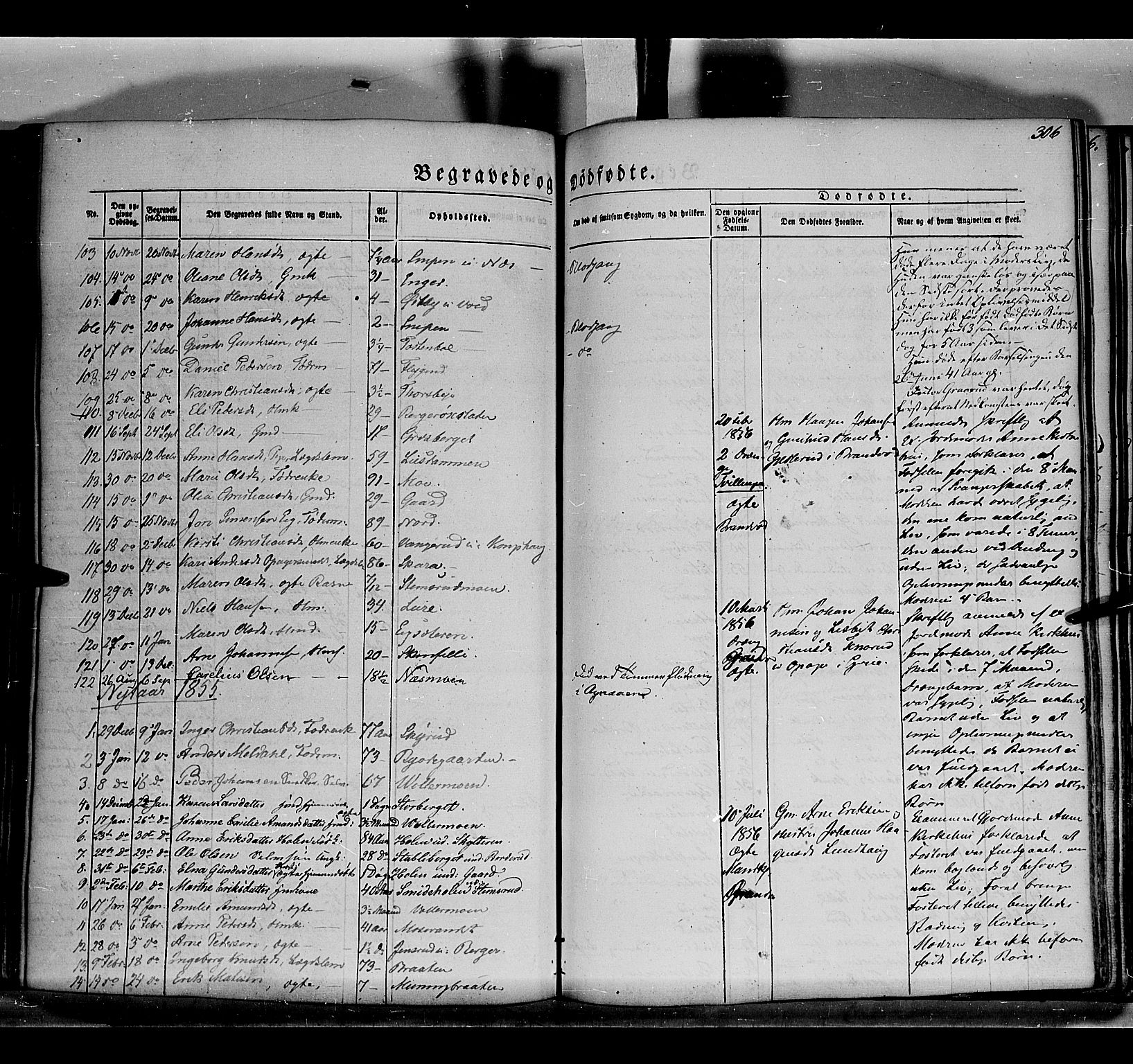 Grue prestekontor, AV/SAH-PREST-036/H/Ha/Haa/L0008: Parish register (official) no. 8, 1847-1858, p. 306