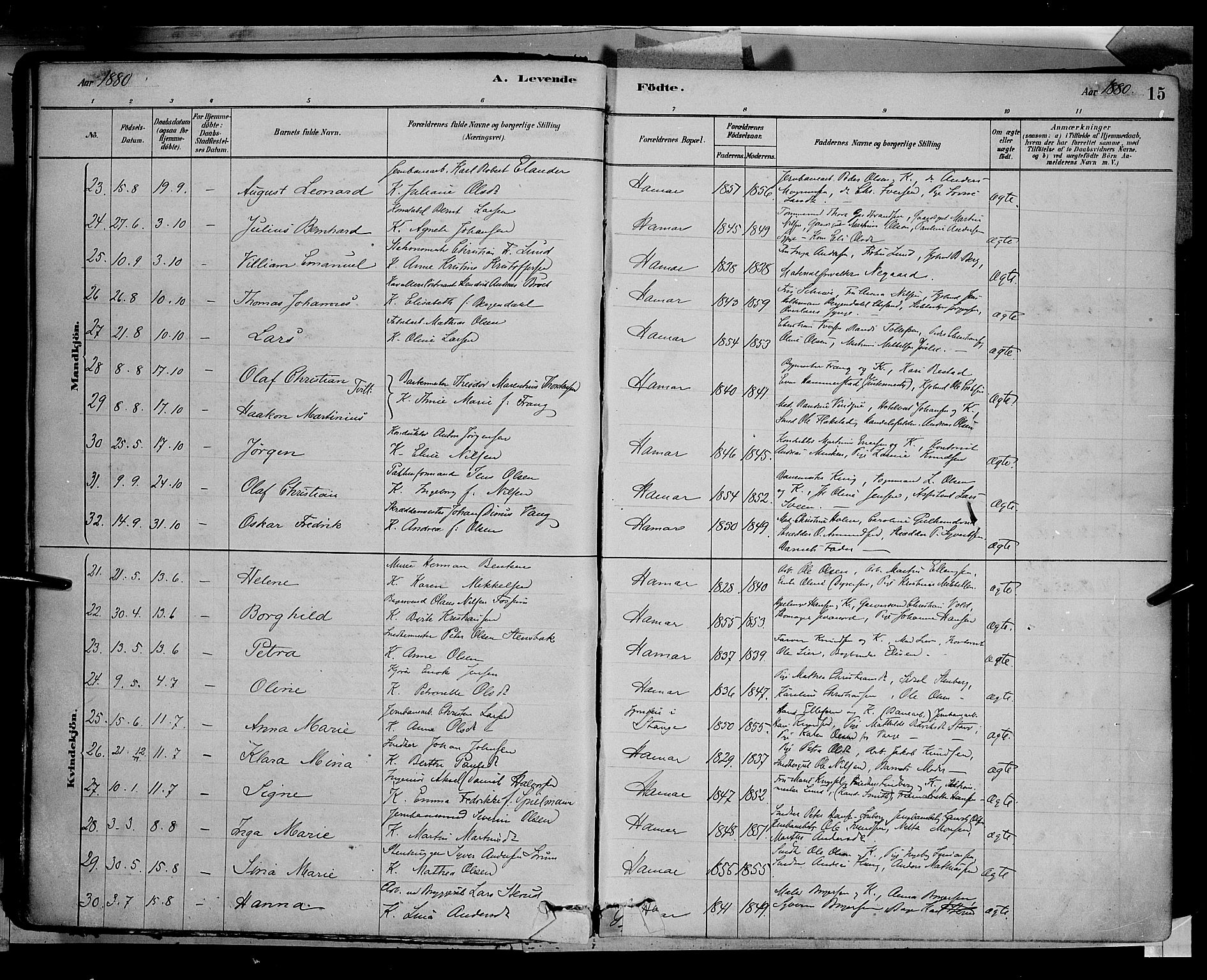 Vang prestekontor, Hedmark, AV/SAH-PREST-008/H/Ha/Haa/L0016: Parish register (official) no. 16, 1878-1889, p. 15