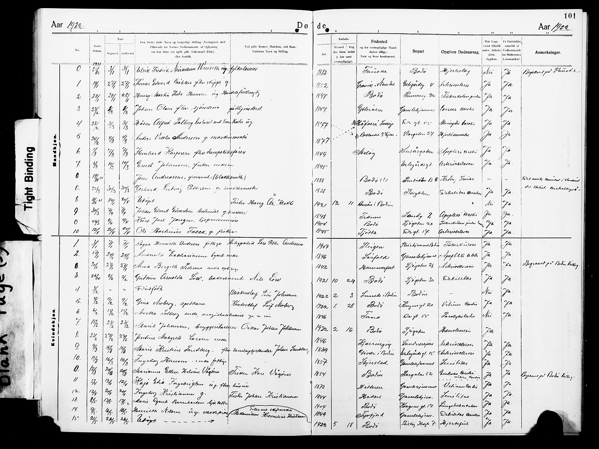 Ministerialprotokoller, klokkerbøker og fødselsregistre - Nordland, AV/SAT-A-1459/801/L0035: Parish register (copy) no. 801C10, 1910-1923, p. 101