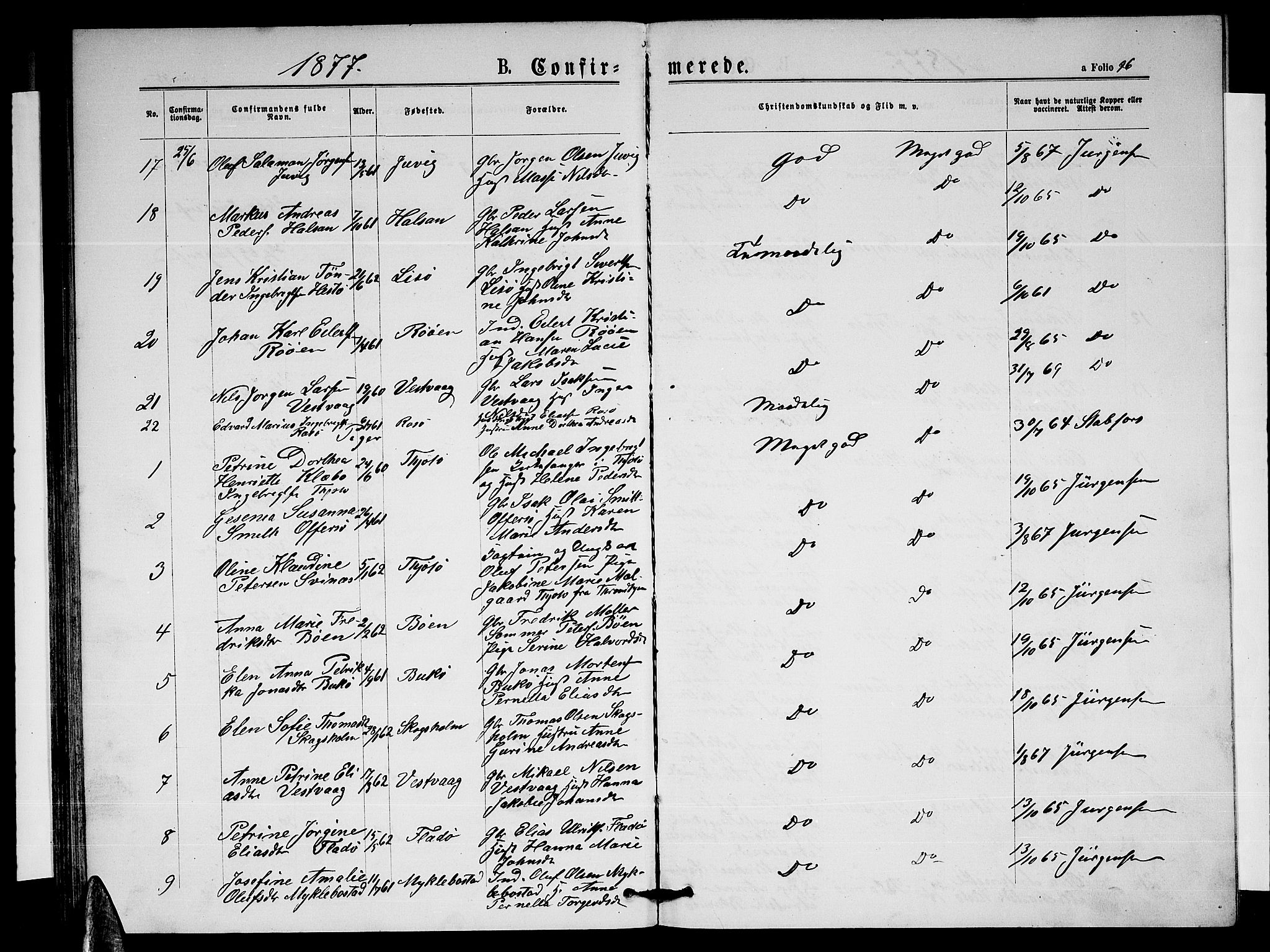 Ministerialprotokoller, klokkerbøker og fødselsregistre - Nordland, AV/SAT-A-1459/817/L0267: Parish register (copy) no. 817C02, 1870-1883, p. 96