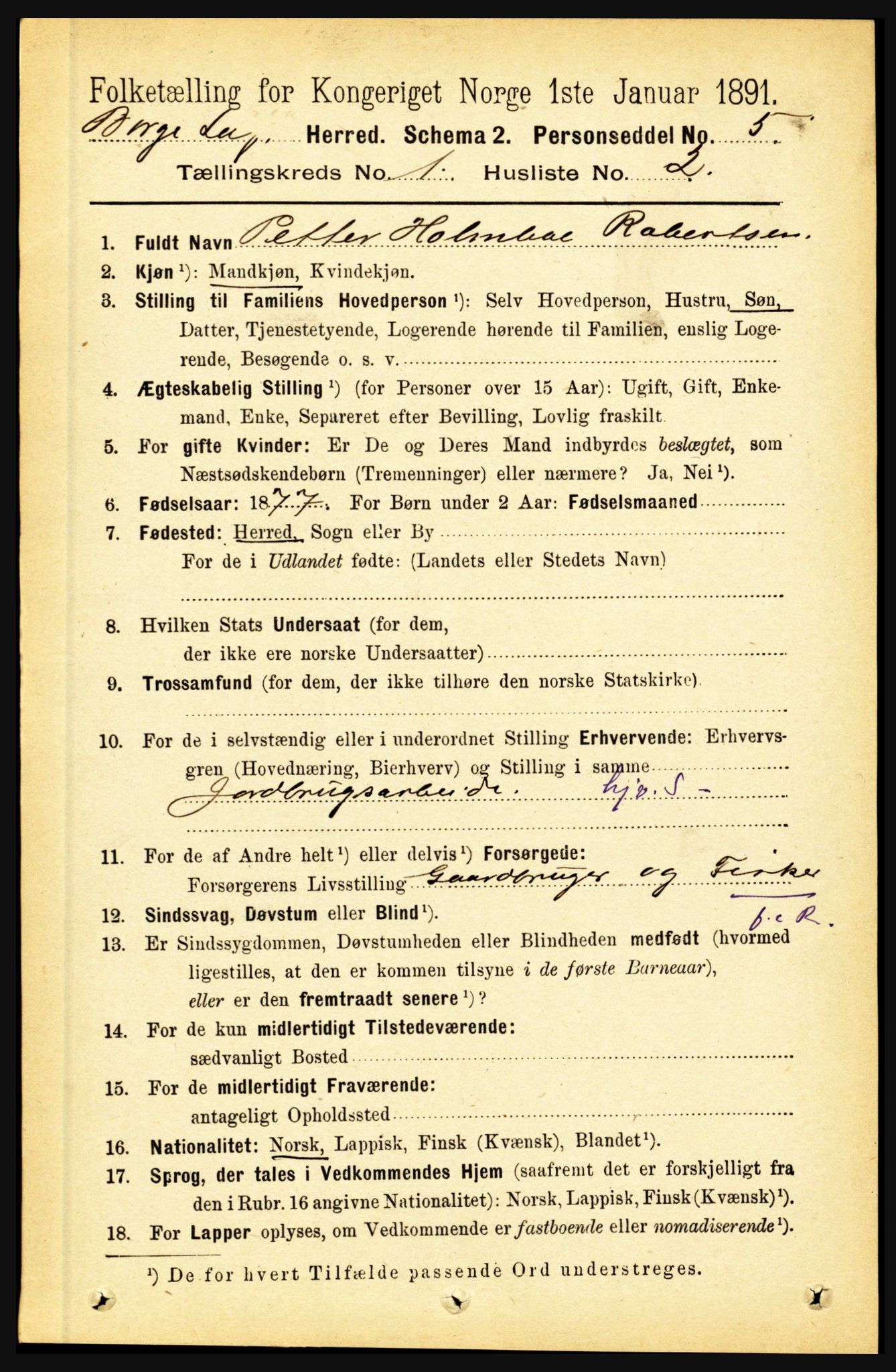 RA, 1891 census for 1862 Borge, 1891, p. 141