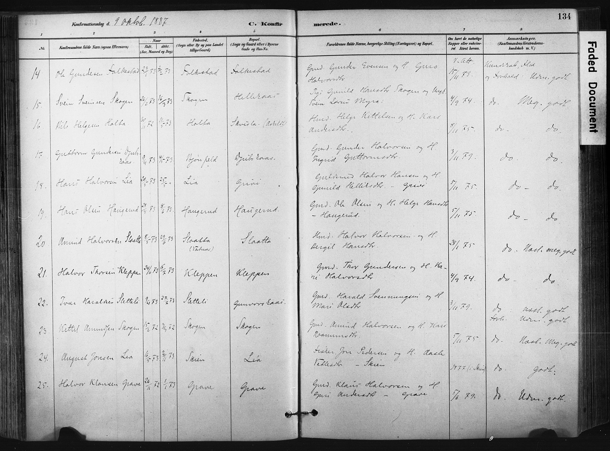 Bø kirkebøker, SAKO/A-257/F/Fa/L0010: Parish register (official) no. 10, 1880-1892, p. 134