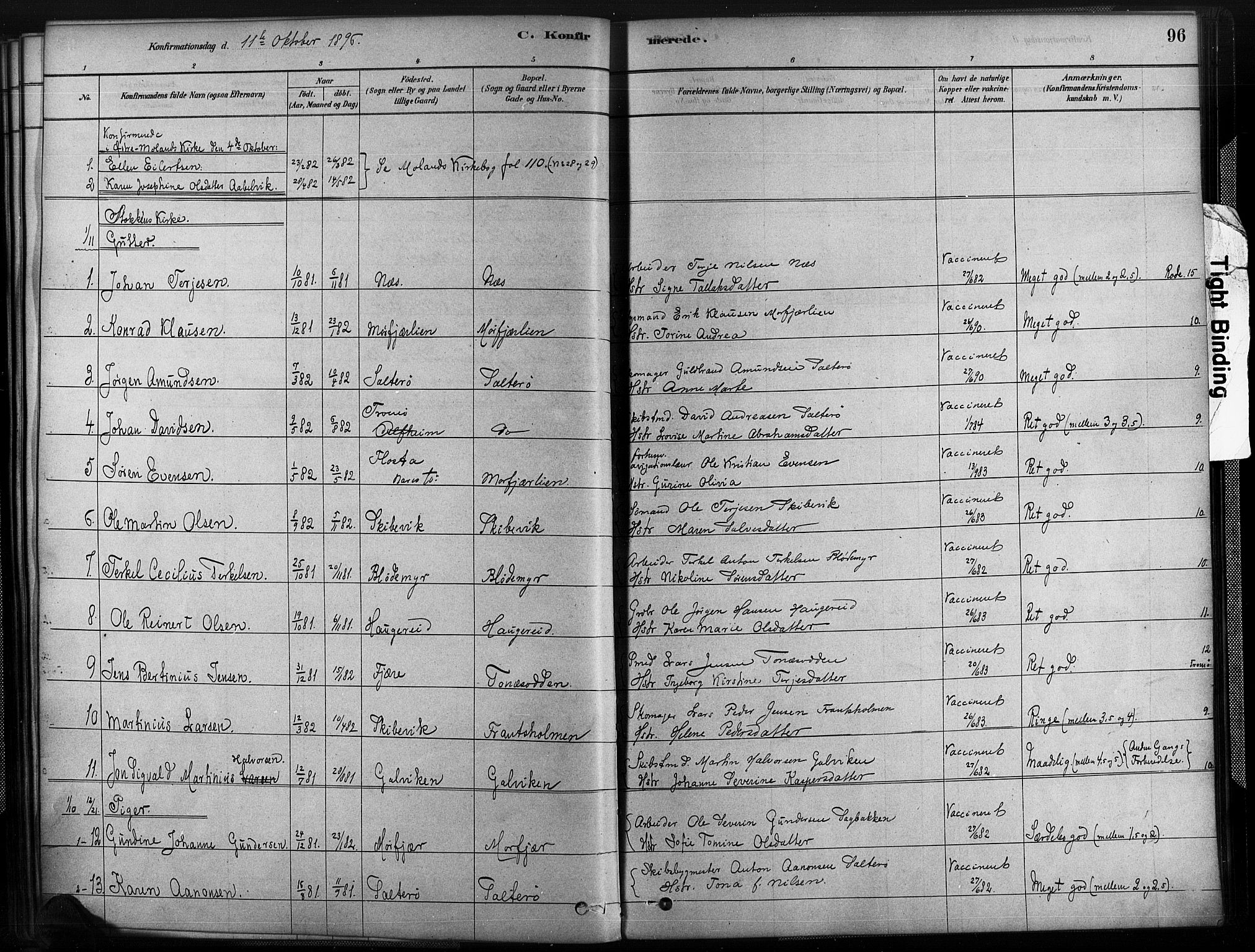 Austre Moland sokneprestkontor, SAK/1111-0001/F/Fa/Fab/L0001: Parish register (official) no. A 1, 1878-1898, p. 96
