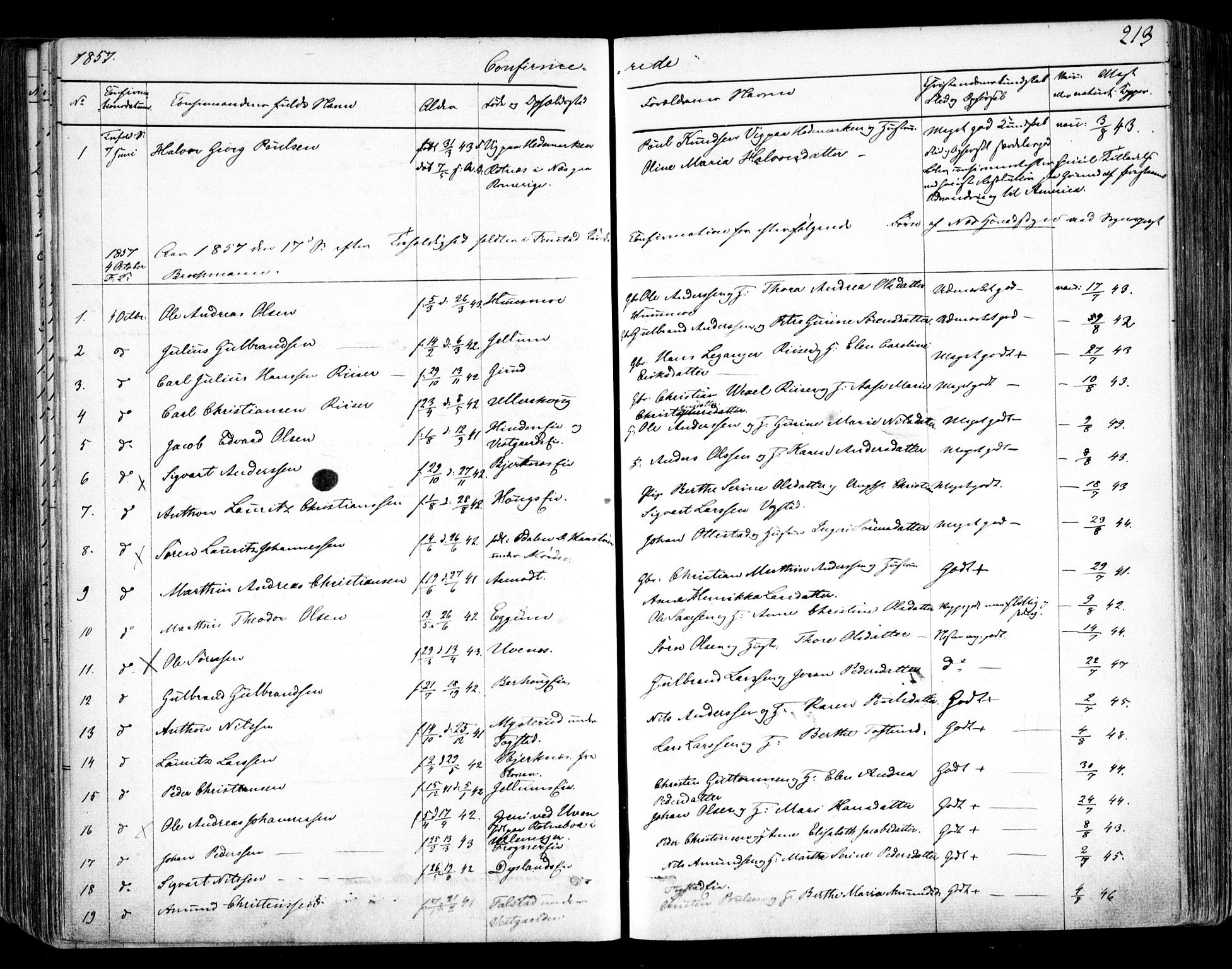 Nes prestekontor Kirkebøker, SAO/A-10410/F/Fa/L0007: Parish register (official) no. I 7, 1846-1858, p. 213