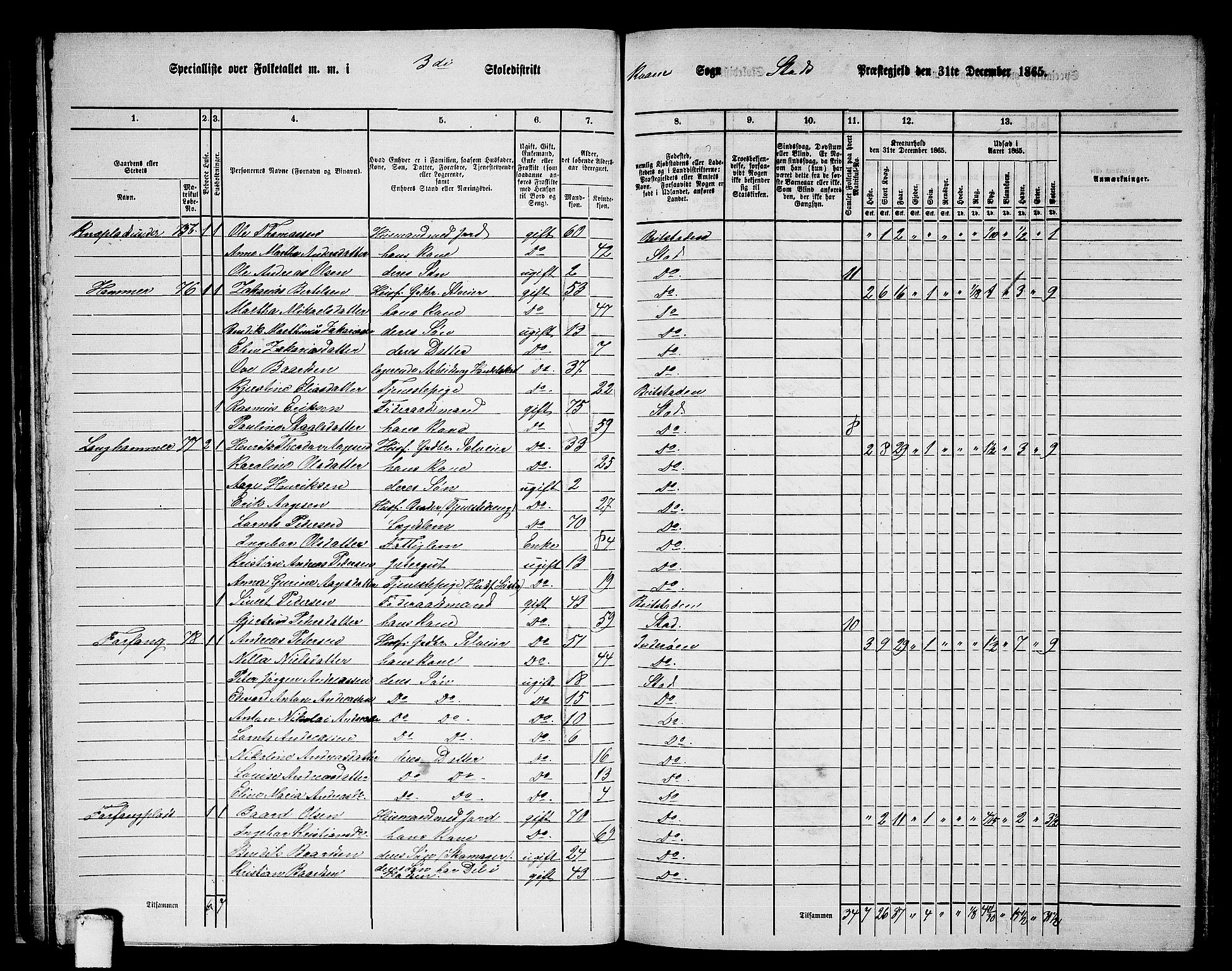 RA, 1865 census for Stod, 1865, p. 53