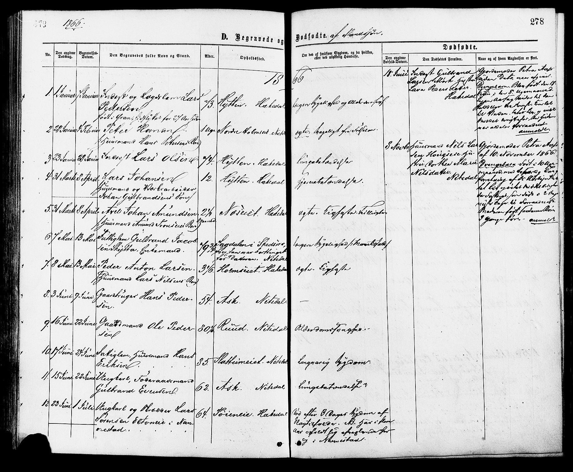 Nittedal prestekontor Kirkebøker, AV/SAO-A-10365a/F/Fa/L0006: Parish register (official) no. I 6, 1863-1878, p. 278