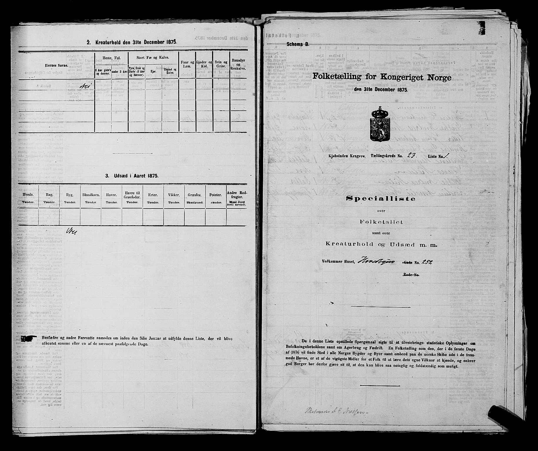 SAKO, 1875 census for 0801P Kragerø, 1875, p. 490