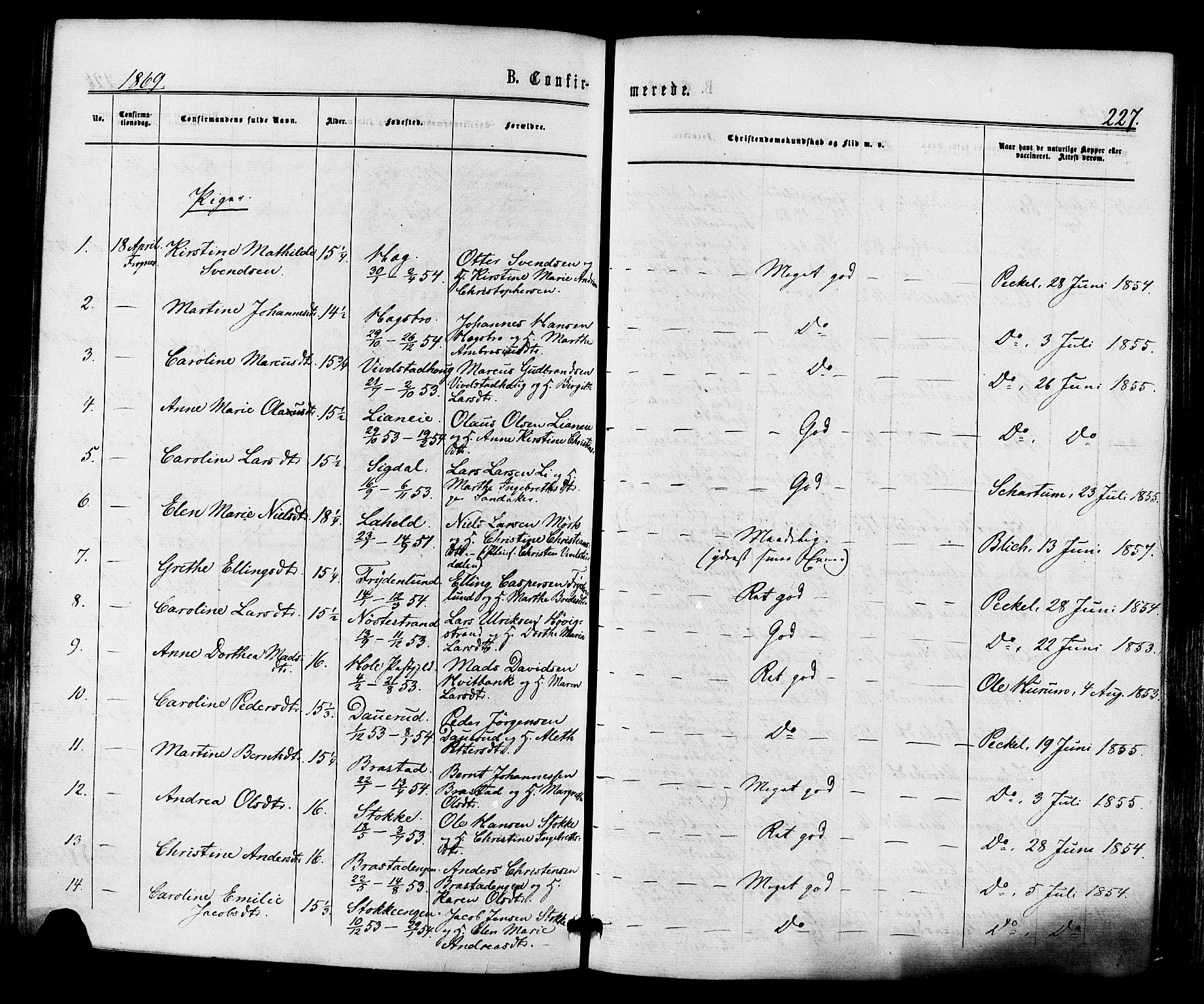 Lier kirkebøker, AV/SAKO-A-230/F/Fa/L0013: Parish register (official) no. I 13, 1865-1874, p. 227