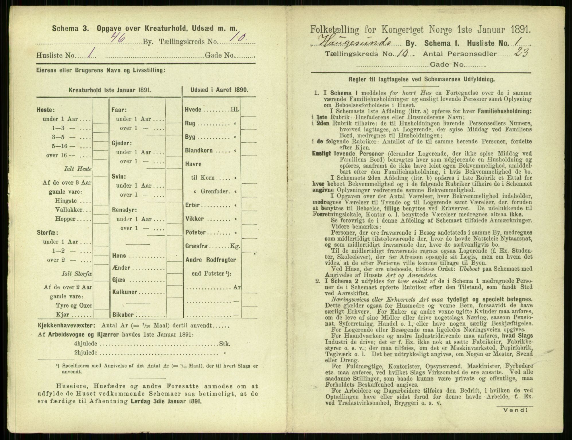 RA, 1891 census for 1106 Haugesund, 1891, p. 683