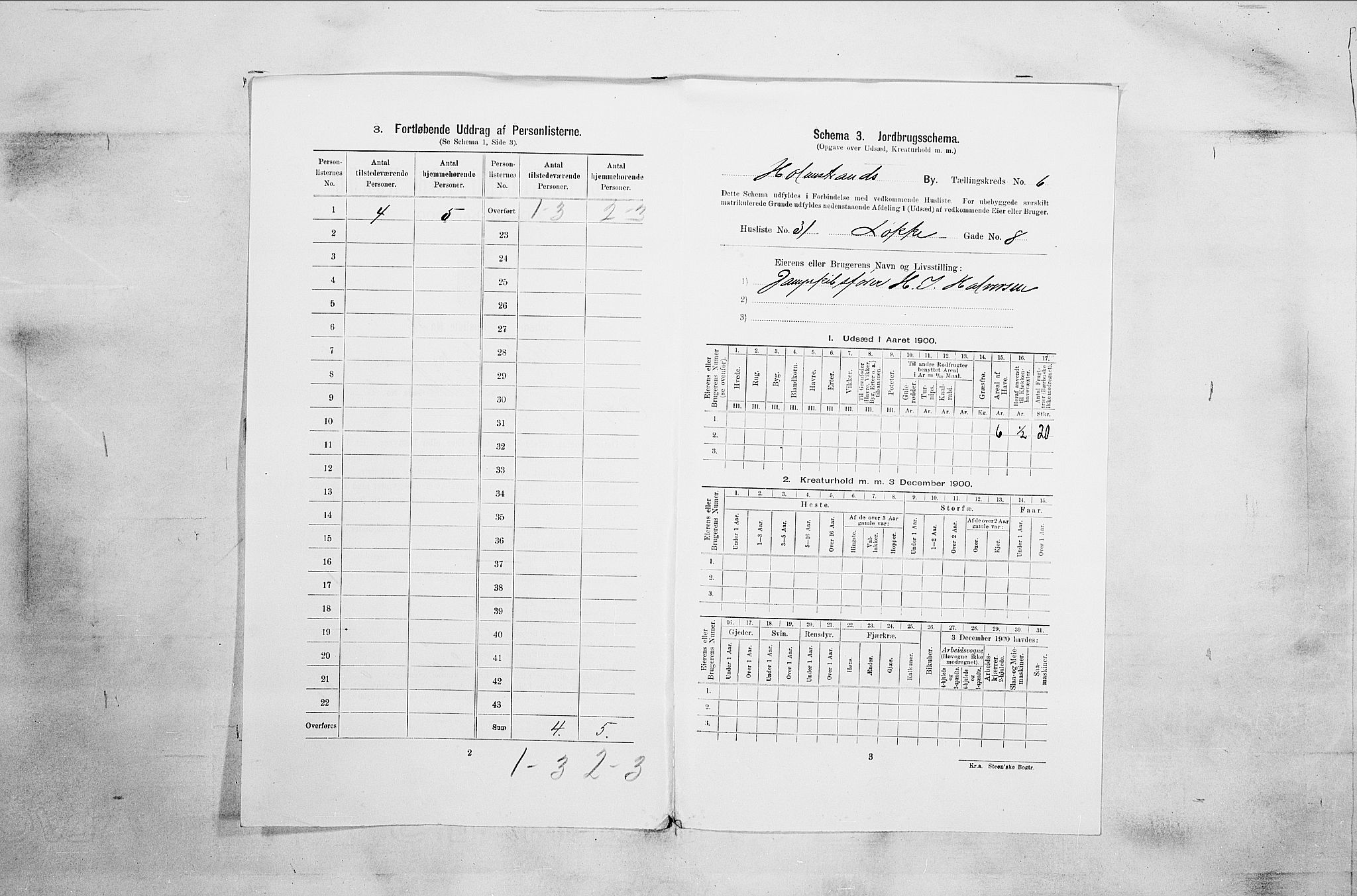 RA, 1900 census for Holmestrand, 1900, p. 171