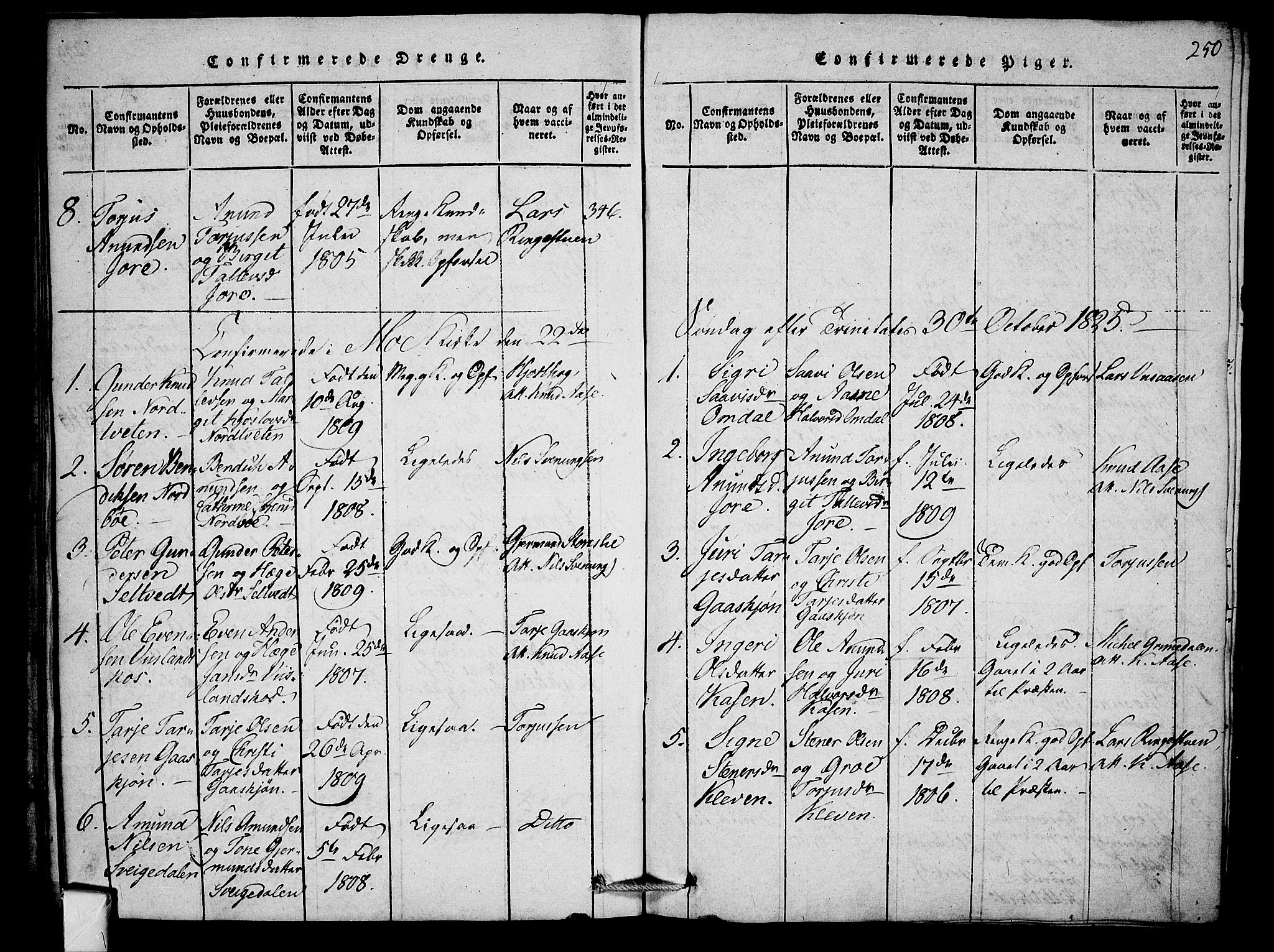 Mo kirkebøker, SAKO/A-286/F/Fb/L0001: Parish register (official) no. II 1, 1814-1844, p. 250