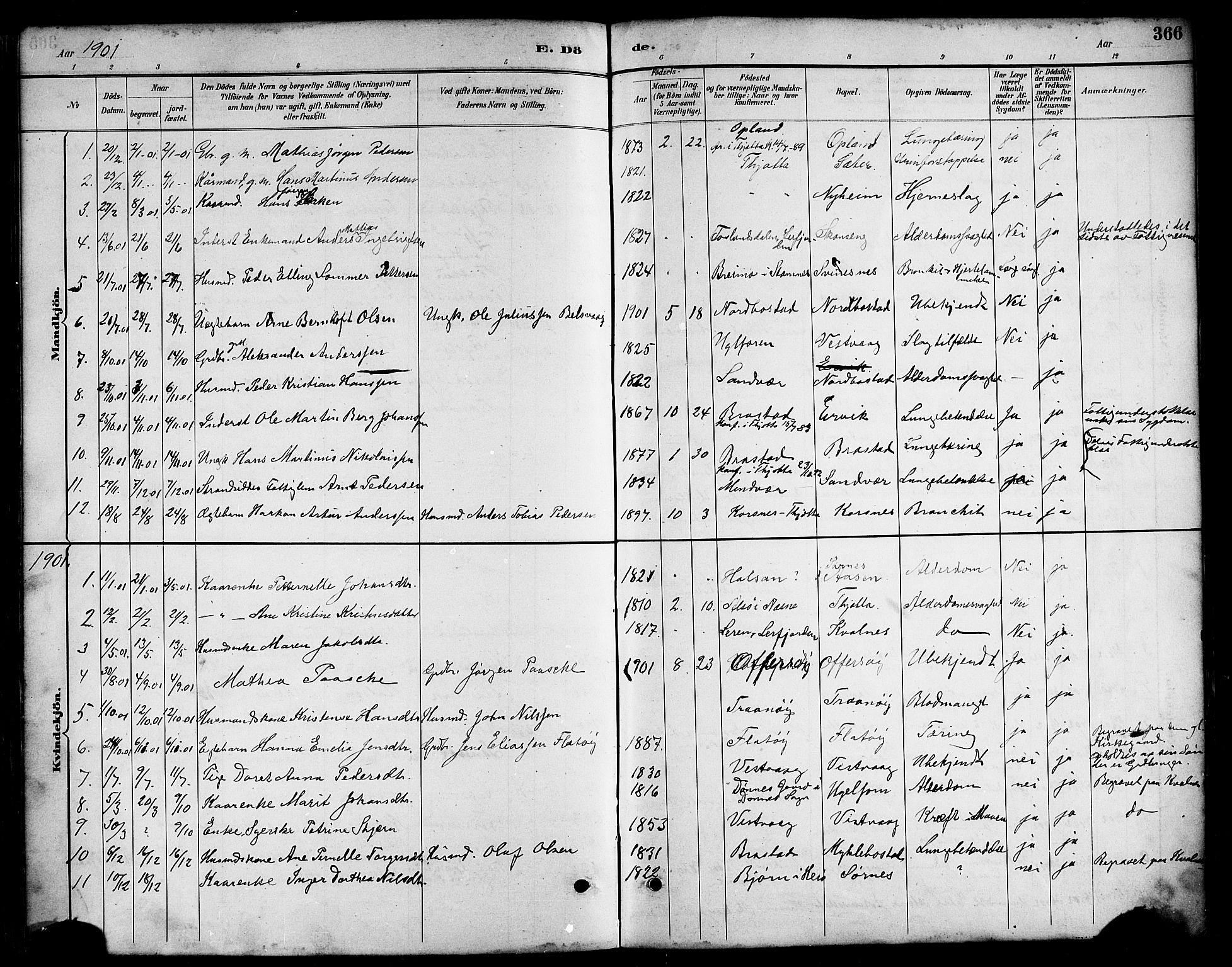 Ministerialprotokoller, klokkerbøker og fødselsregistre - Nordland, AV/SAT-A-1459/817/L0268: Parish register (copy) no. 817C03, 1884-1920, p. 366