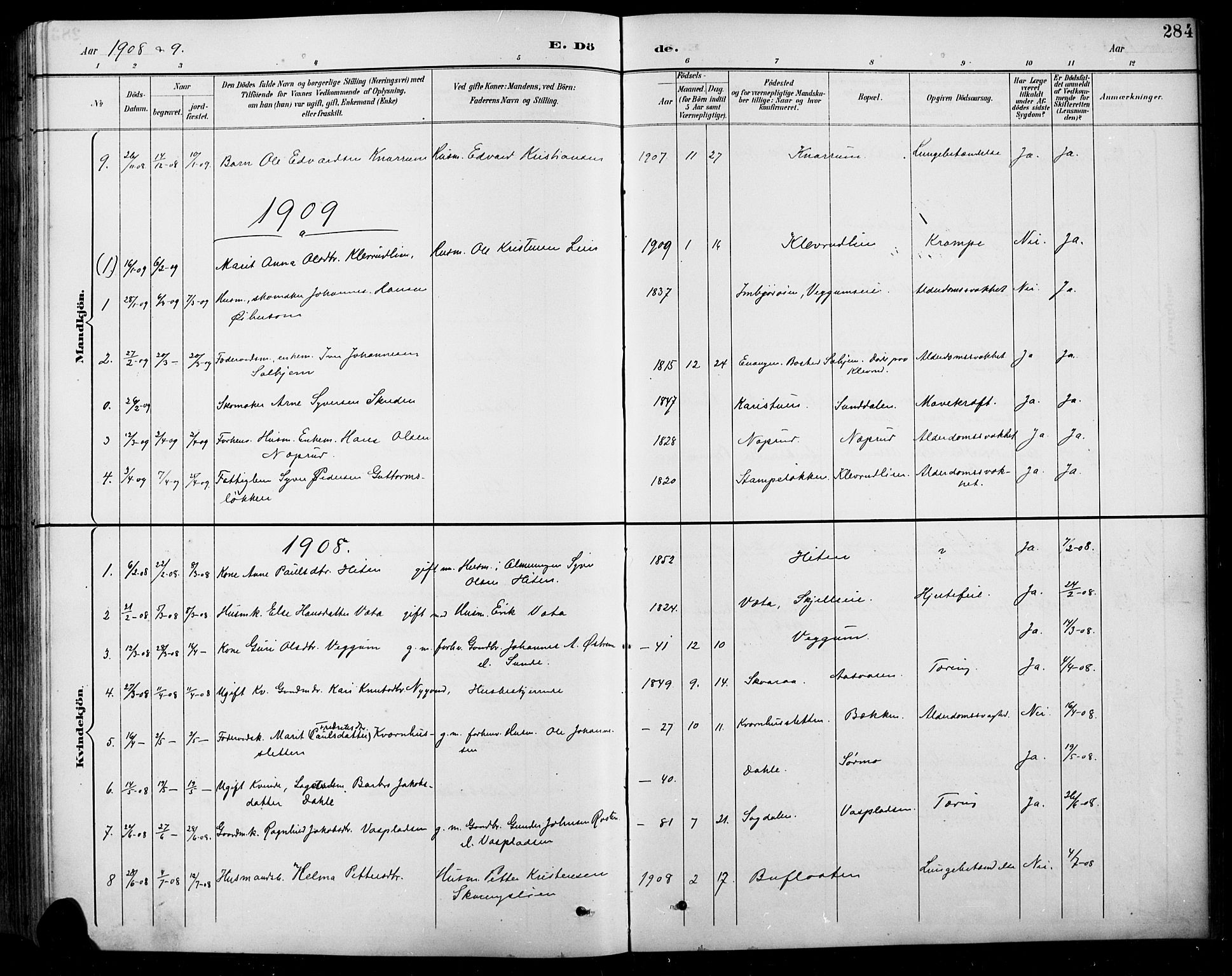 Sel prestekontor, SAH/PREST-074/H/Ha/Hab/L0001: Parish register (copy) no. 1, 1894-1923, p. 284
