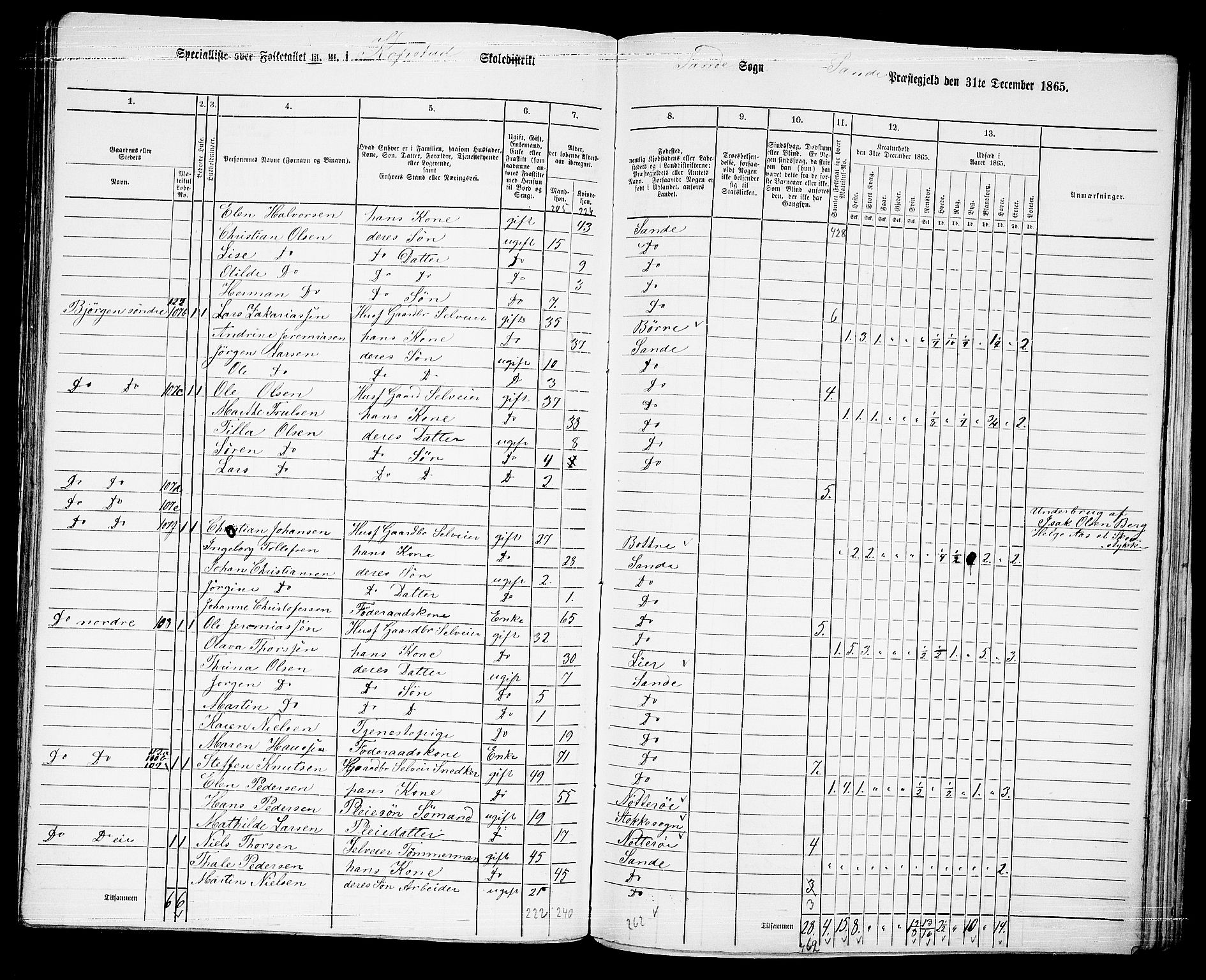 RA, 1865 census for Sande, 1865, p. 74