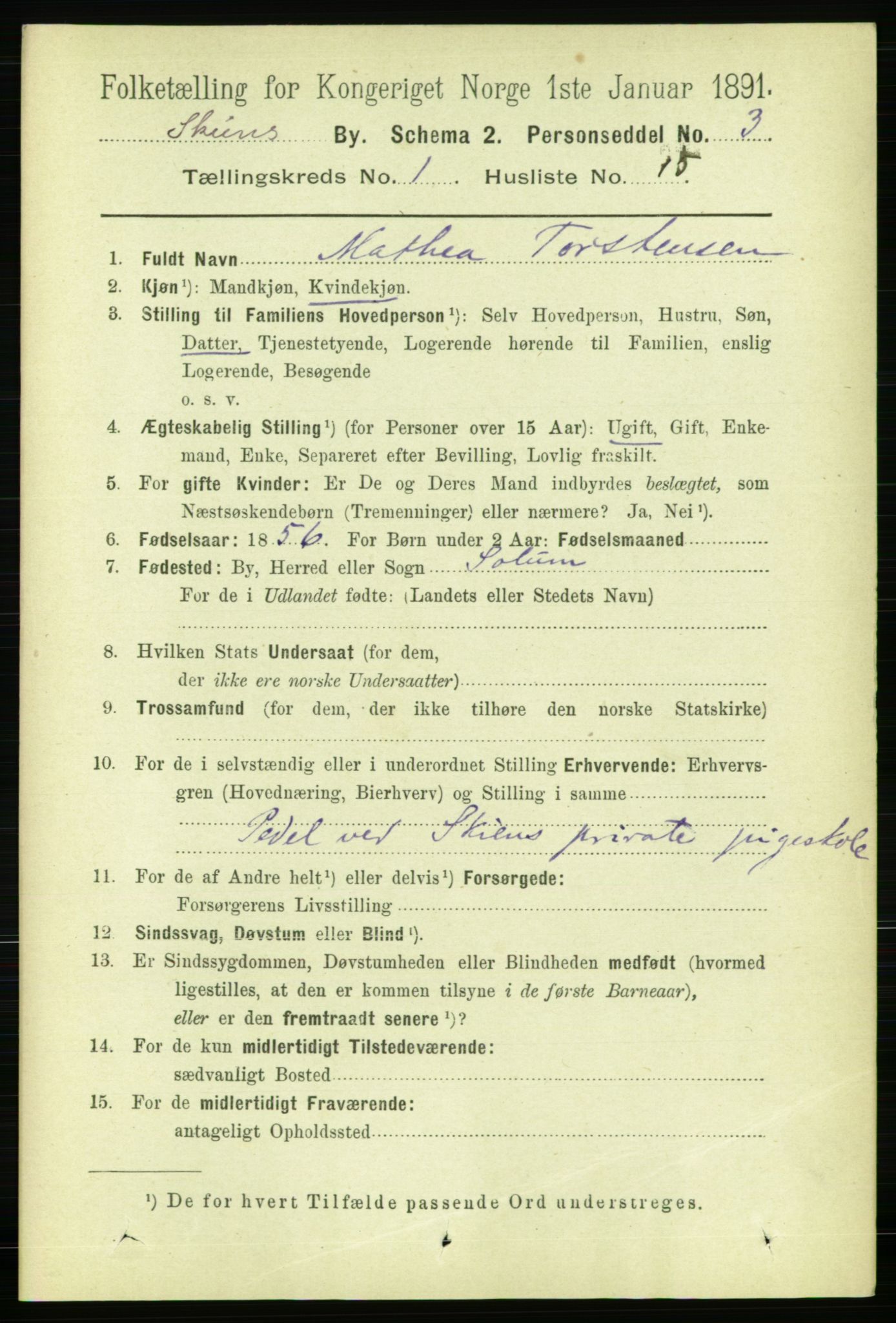 RA, 1891 census for 0806 Skien, 1891, p. 2305