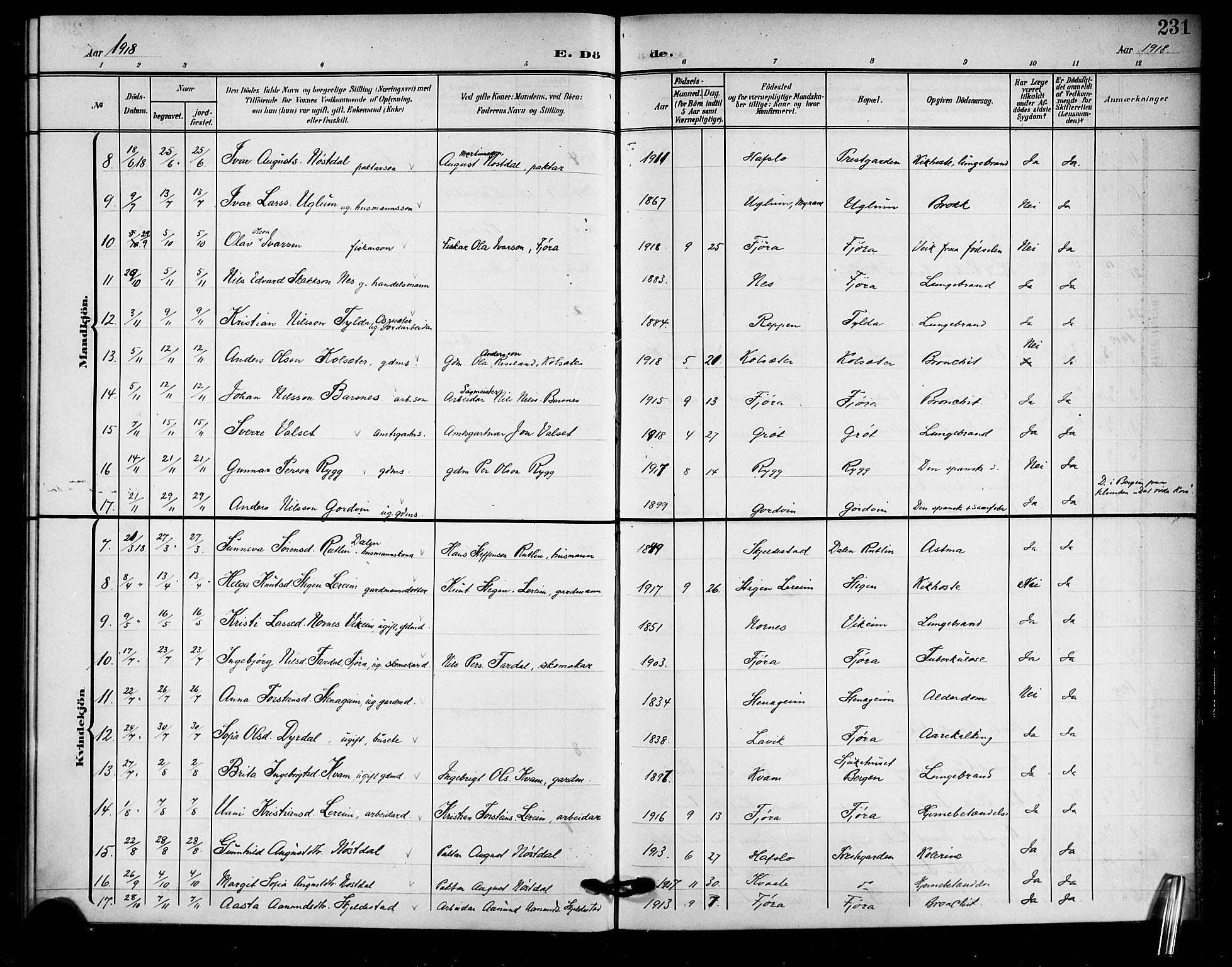 Sogndal sokneprestembete, AV/SAB-A-81301/H/Hab/Haba/L0002: Parish register (copy) no. A 2, 1908-1924, p. 231