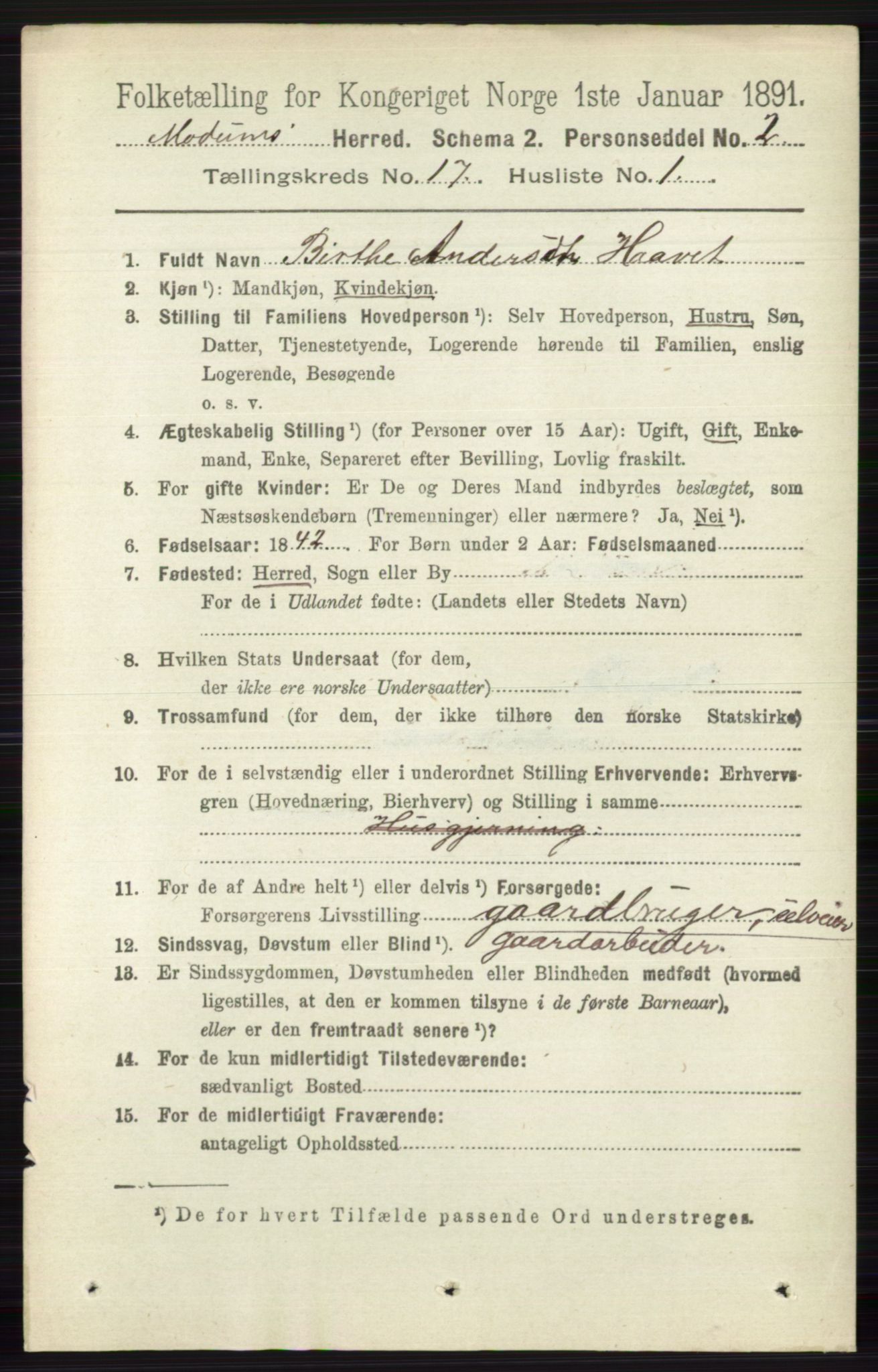 RA, 1891 census for 0623 Modum, 1891, p. 6634