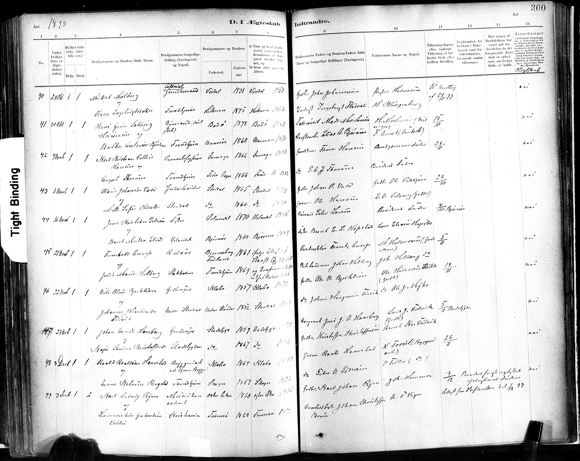 Ministerialprotokoller, klokkerbøker og fødselsregistre - Sør-Trøndelag, SAT/A-1456/602/L0119: Parish register (official) no. 602A17, 1880-1901, p. 300