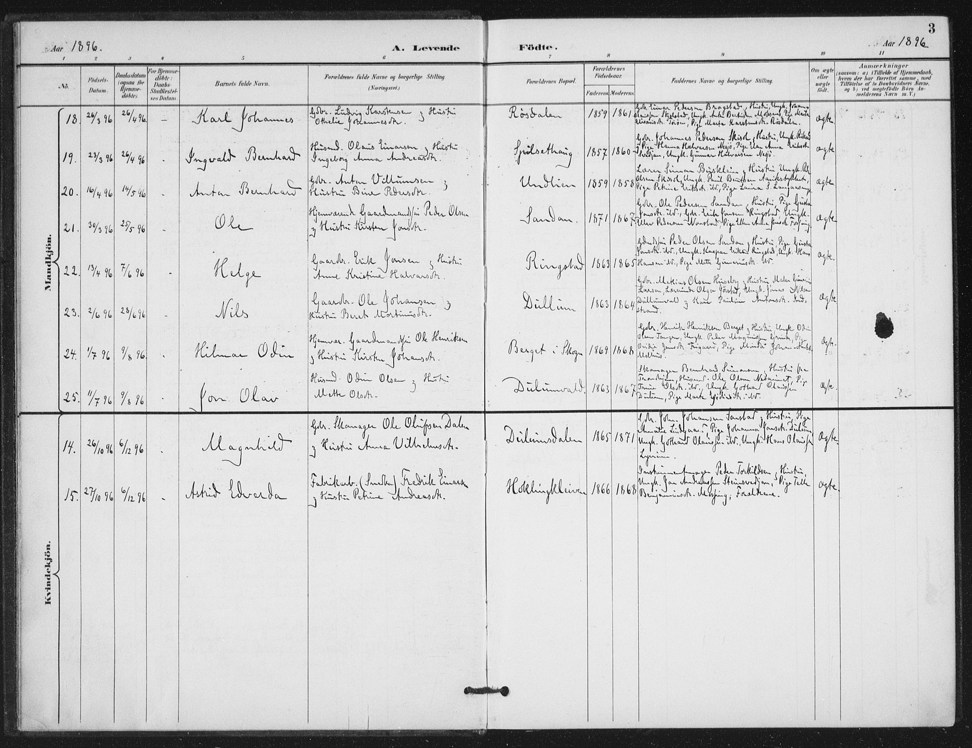 Ministerialprotokoller, klokkerbøker og fødselsregistre - Nord-Trøndelag, AV/SAT-A-1458/714/L0131: Parish register (official) no. 714A02, 1896-1918, p. 3