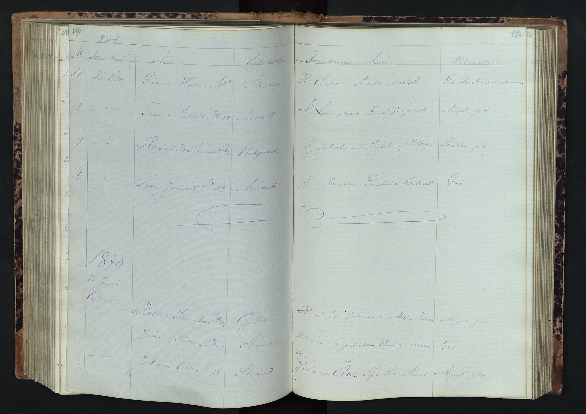 Stor-Elvdal prestekontor, SAH/PREST-052/H/Ha/Hab/L0001: Parish register (copy) no. 1 /1, 1860-1894, p. 491-492