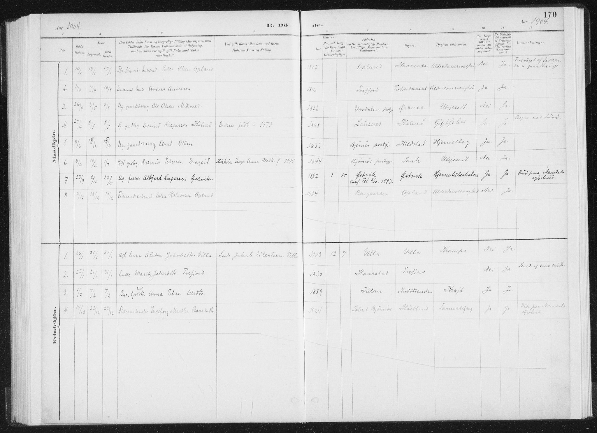 Ministerialprotokoller, klokkerbøker og fødselsregistre - Nord-Trøndelag, AV/SAT-A-1458/771/L0597: Parish register (official) no. 771A04, 1885-1910, p. 170