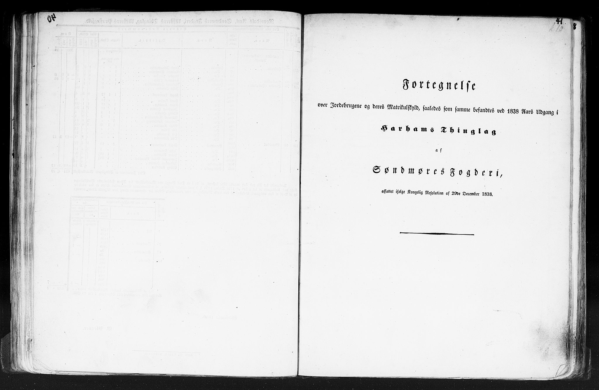 Rygh, RA/PA-0034/F/Fb/L0013: Matrikkelen for 1838 - Romsdal amt (Møre og Romsdal fylke), 1838, p. 41a