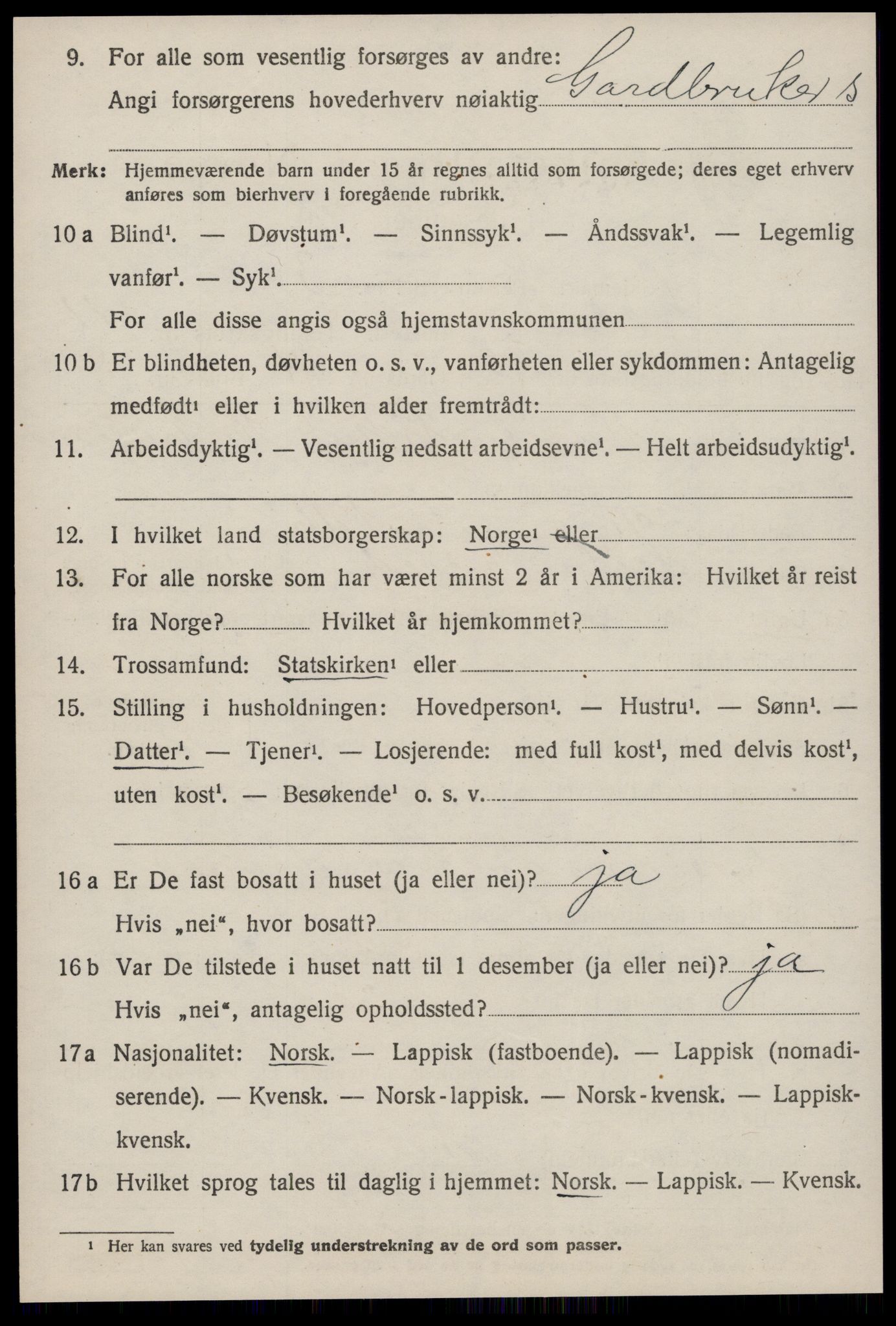 SAT, 1920 census for Selbu, 1920, p. 6501