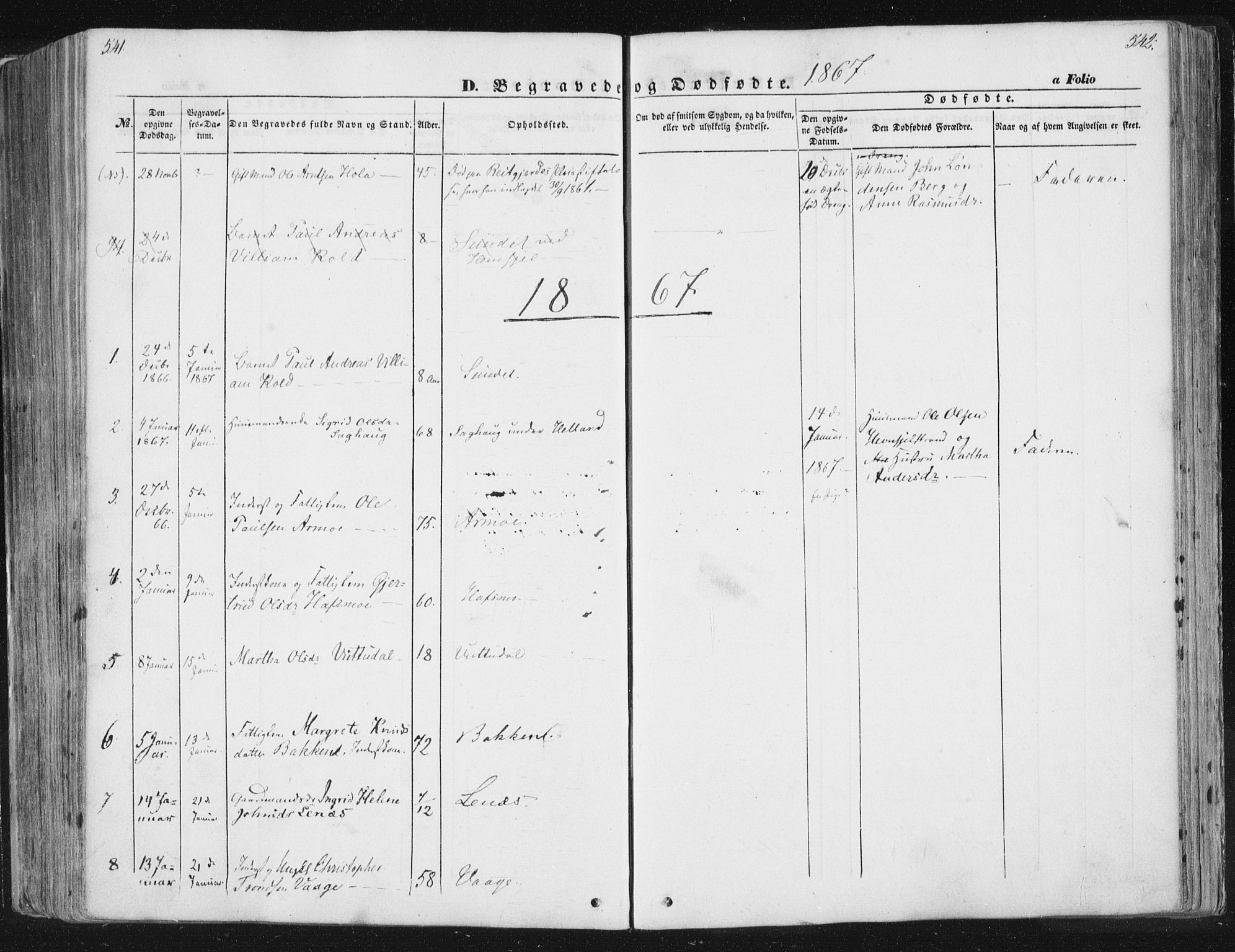 Ministerialprotokoller, klokkerbøker og fødselsregistre - Sør-Trøndelag, SAT/A-1456/630/L0494: Parish register (official) no. 630A07, 1852-1868, p. 541-542