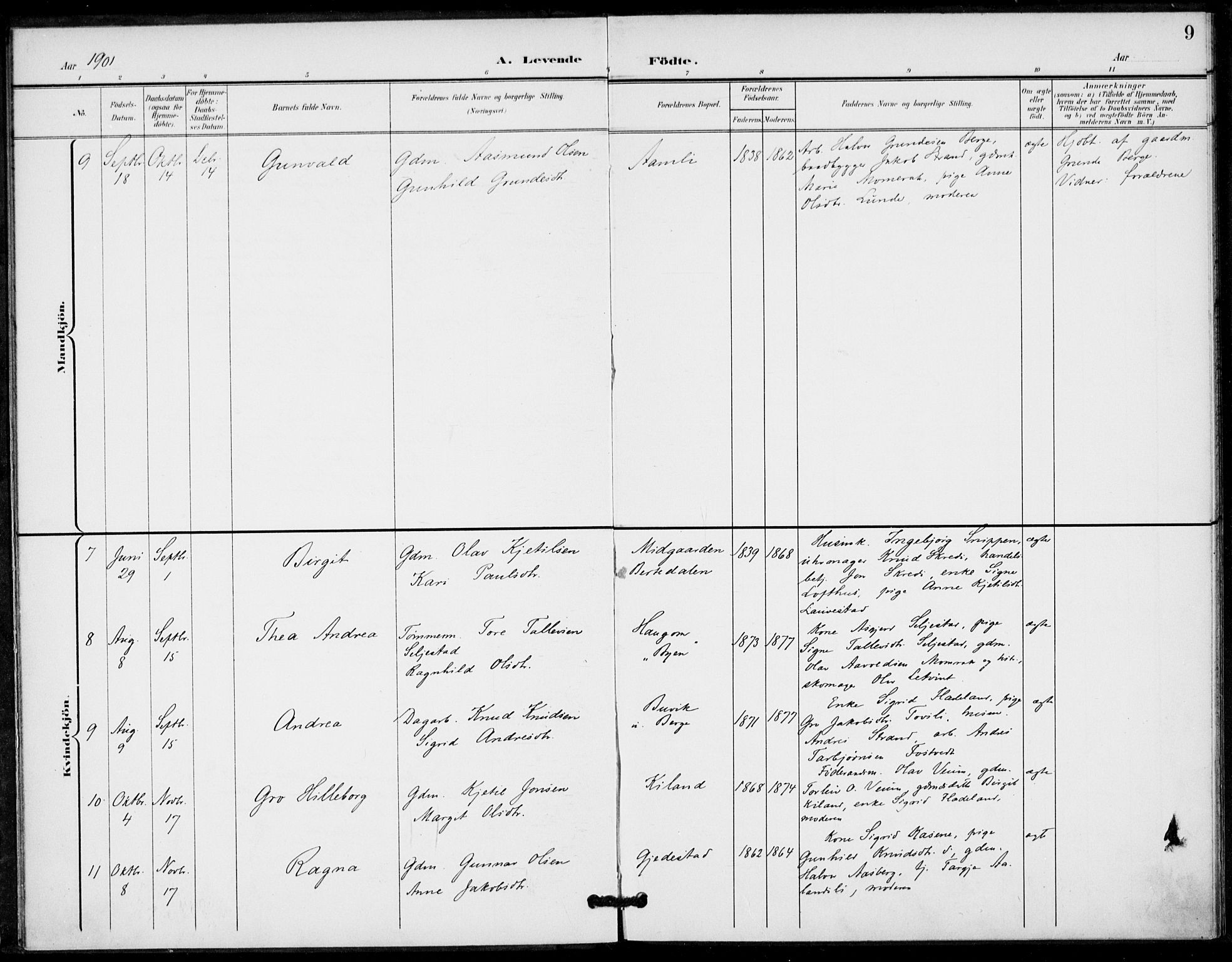 Fyresdal kirkebøker, AV/SAKO-A-263/F/Fa/L0008: Parish register (official) no. I 8, 1899-1914, p. 9