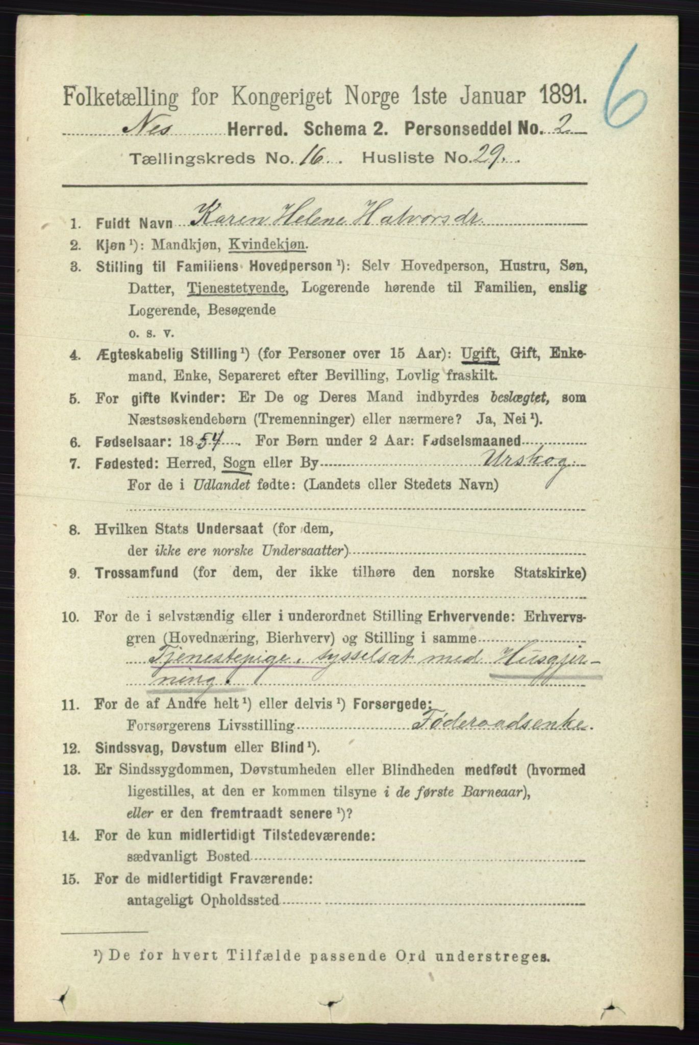 RA, 1891 census for 0236 Nes, 1891, p. 9732