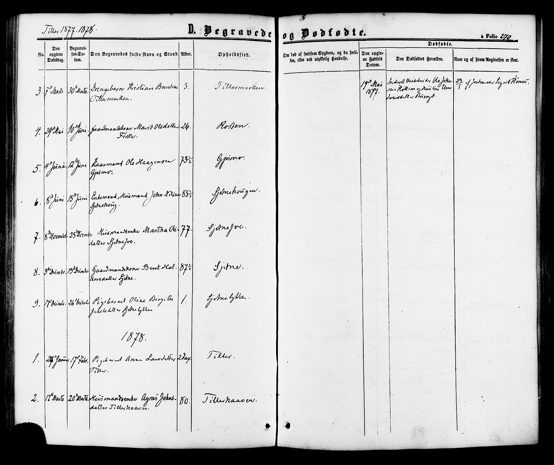 Ministerialprotokoller, klokkerbøker og fødselsregistre - Sør-Trøndelag, SAT/A-1456/618/L0443: Parish register (official) no. 618A06 /2, 1863-1879, p. 270