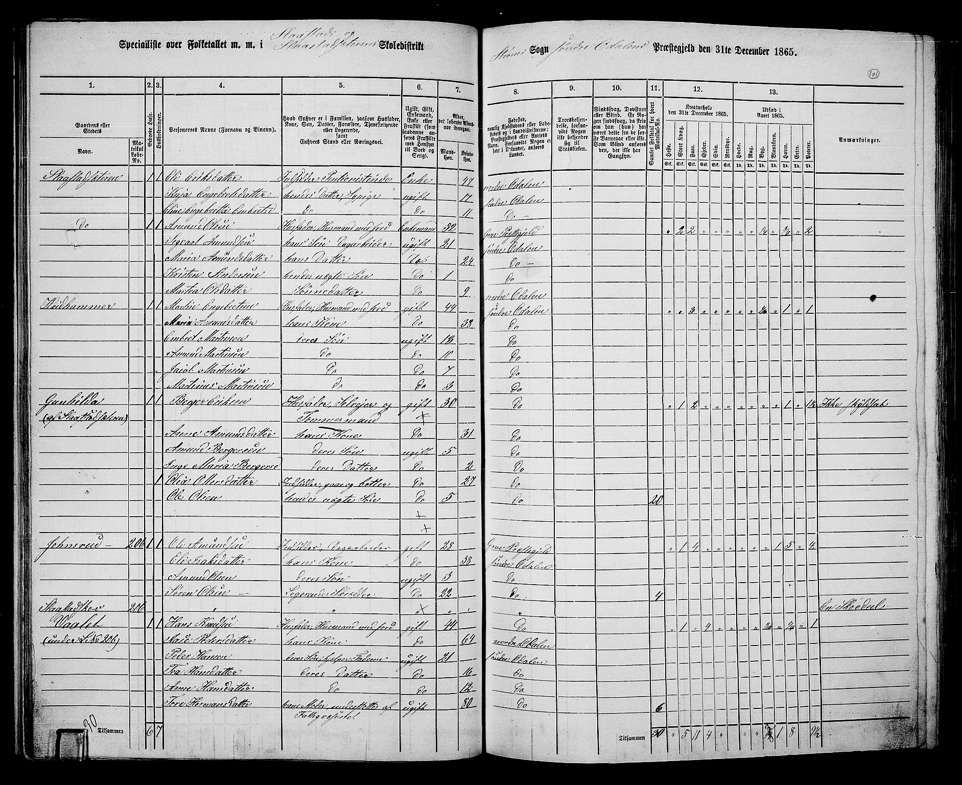 RA, 1865 census for Sør-Odal, 1865, p. 91