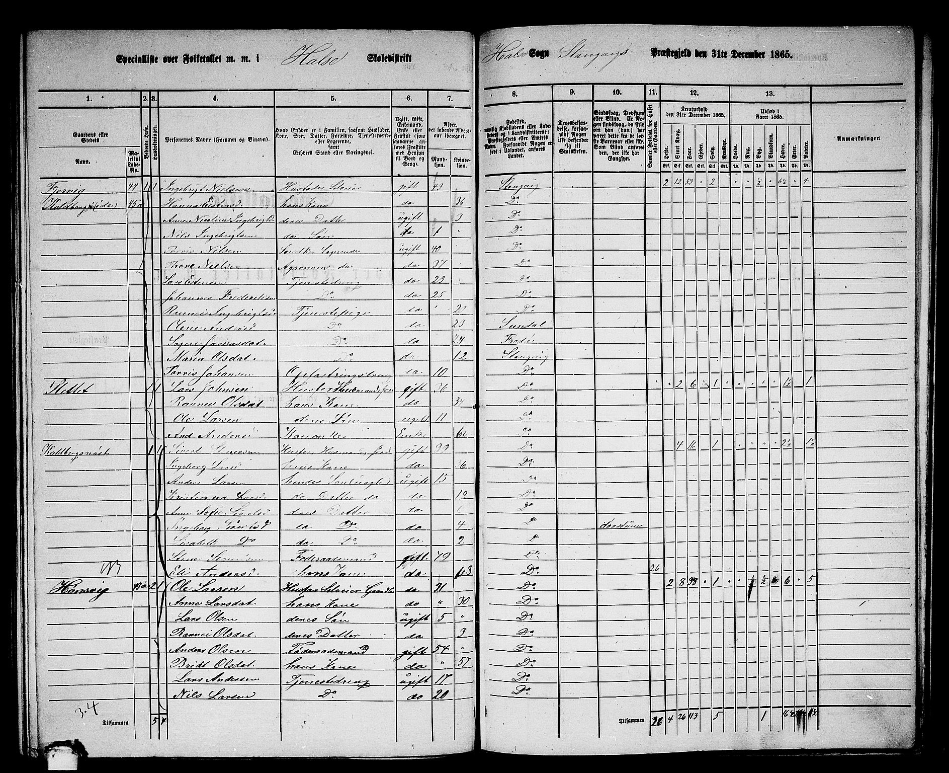 RA, 1865 census for Stangvik, 1865, p. 129