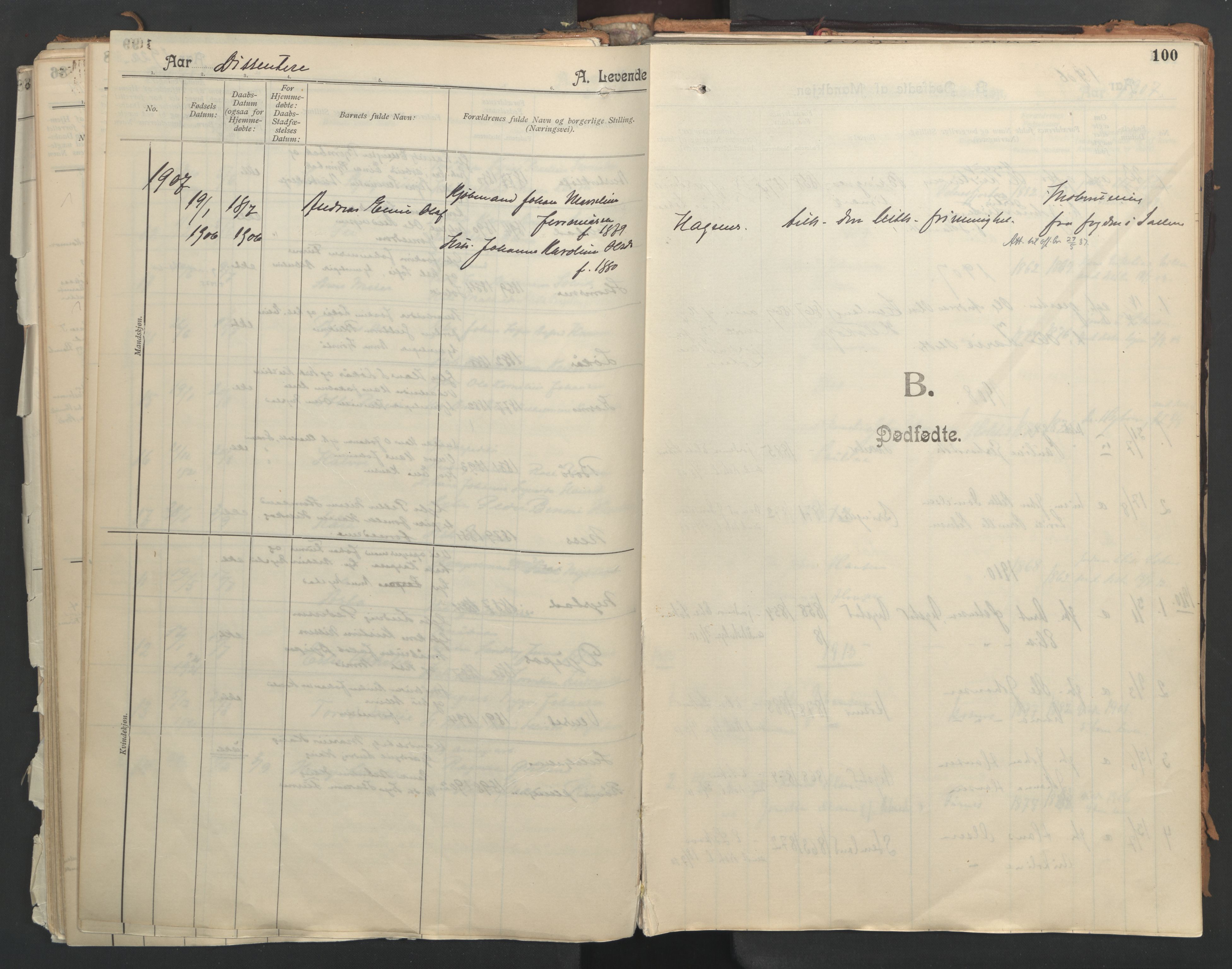 Ministerialprotokoller, klokkerbøker og fødselsregistre - Nordland, SAT/A-1459/851/L0724: Parish register (official) no. 851A01, 1901-1922, p. 100