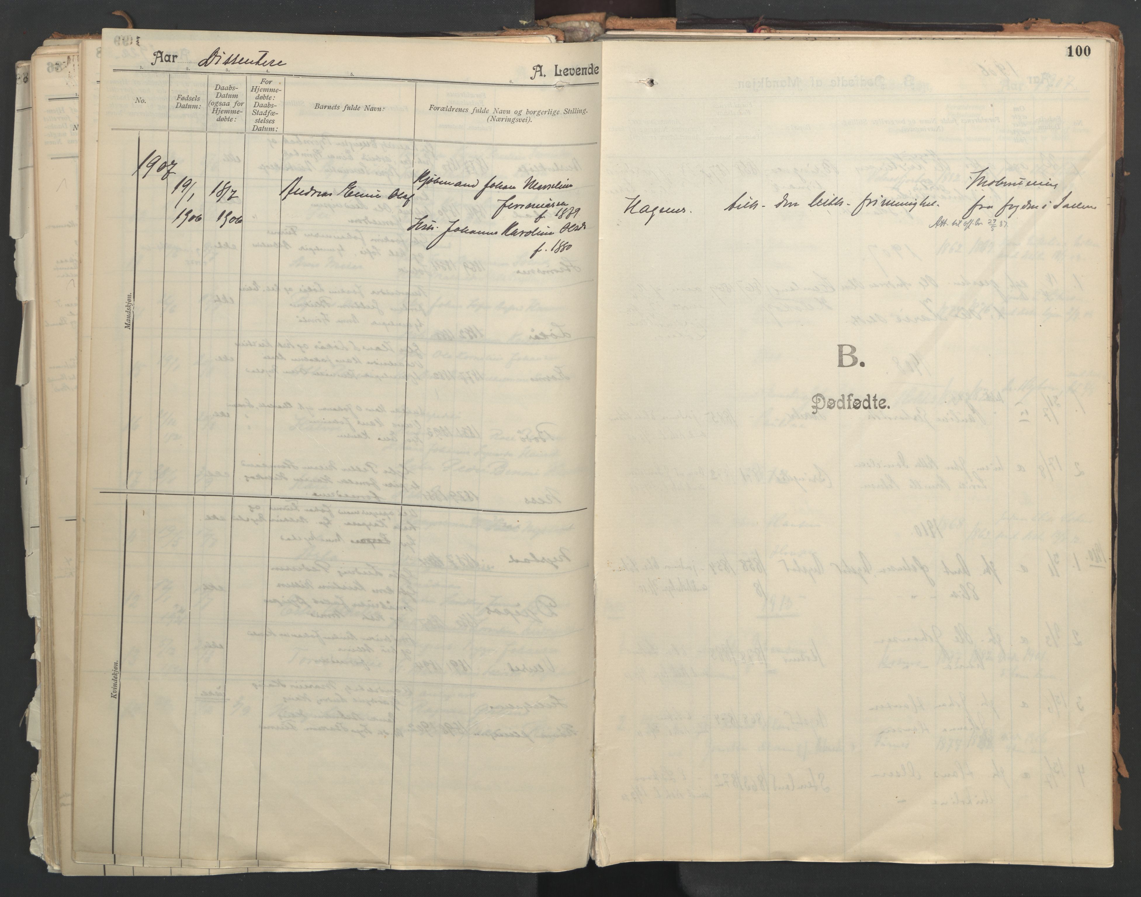 Ministerialprotokoller, klokkerbøker og fødselsregistre - Nordland, AV/SAT-A-1459/851/L0724: Parish register (official) no. 851A01, 1901-1922, p. 100