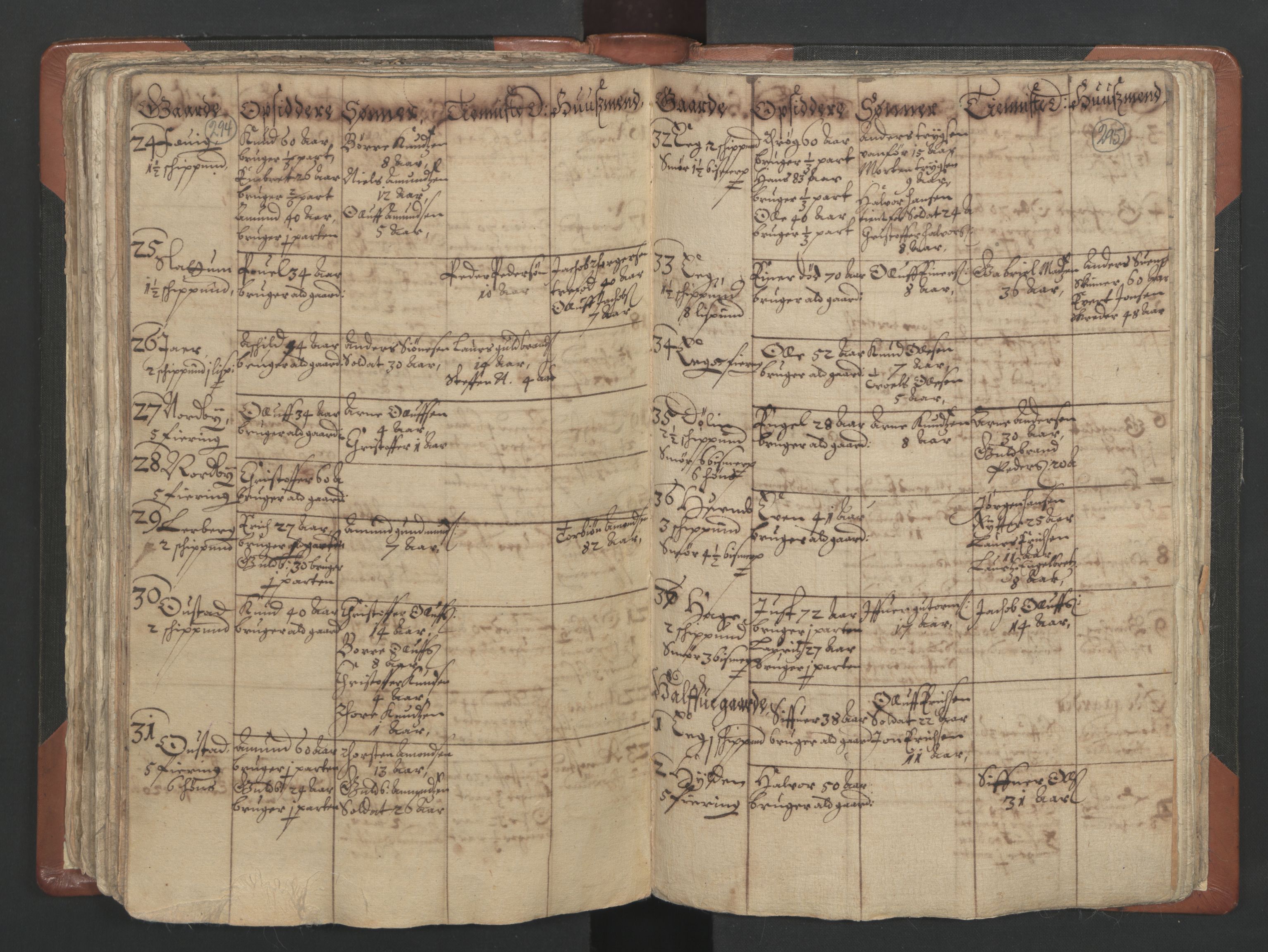 RA, Vicar's Census 1664-1666, no. 4: Øvre Romerike deanery, 1664-1666, p. 294-295