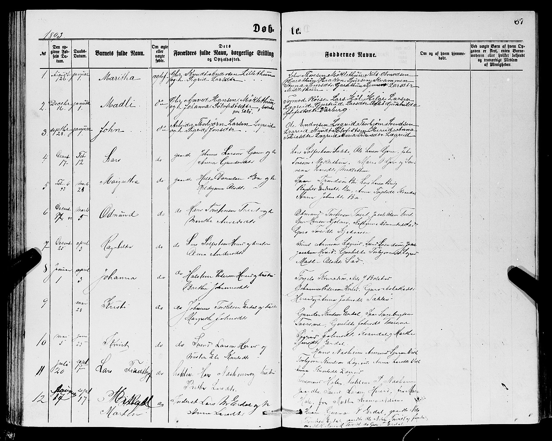 Ullensvang sokneprestembete, SAB/A-78701/H/Hab: Parish register (copy) no. C 2, 1871-1899, p. 67