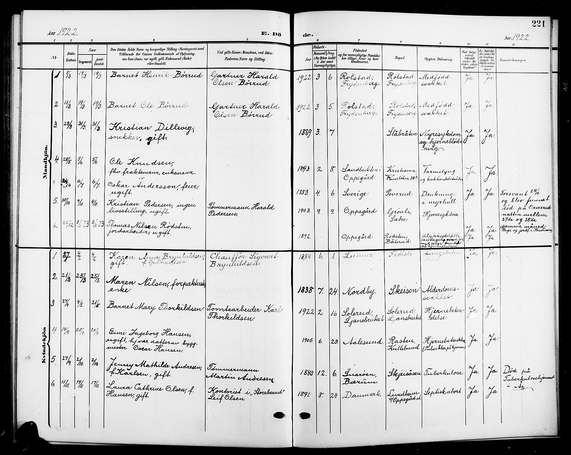 Nesodden prestekontor Kirkebøker, SAO/A-10013/G/Gb/L0001: Parish register (copy) no. II 1, 1905-1924, p. 221