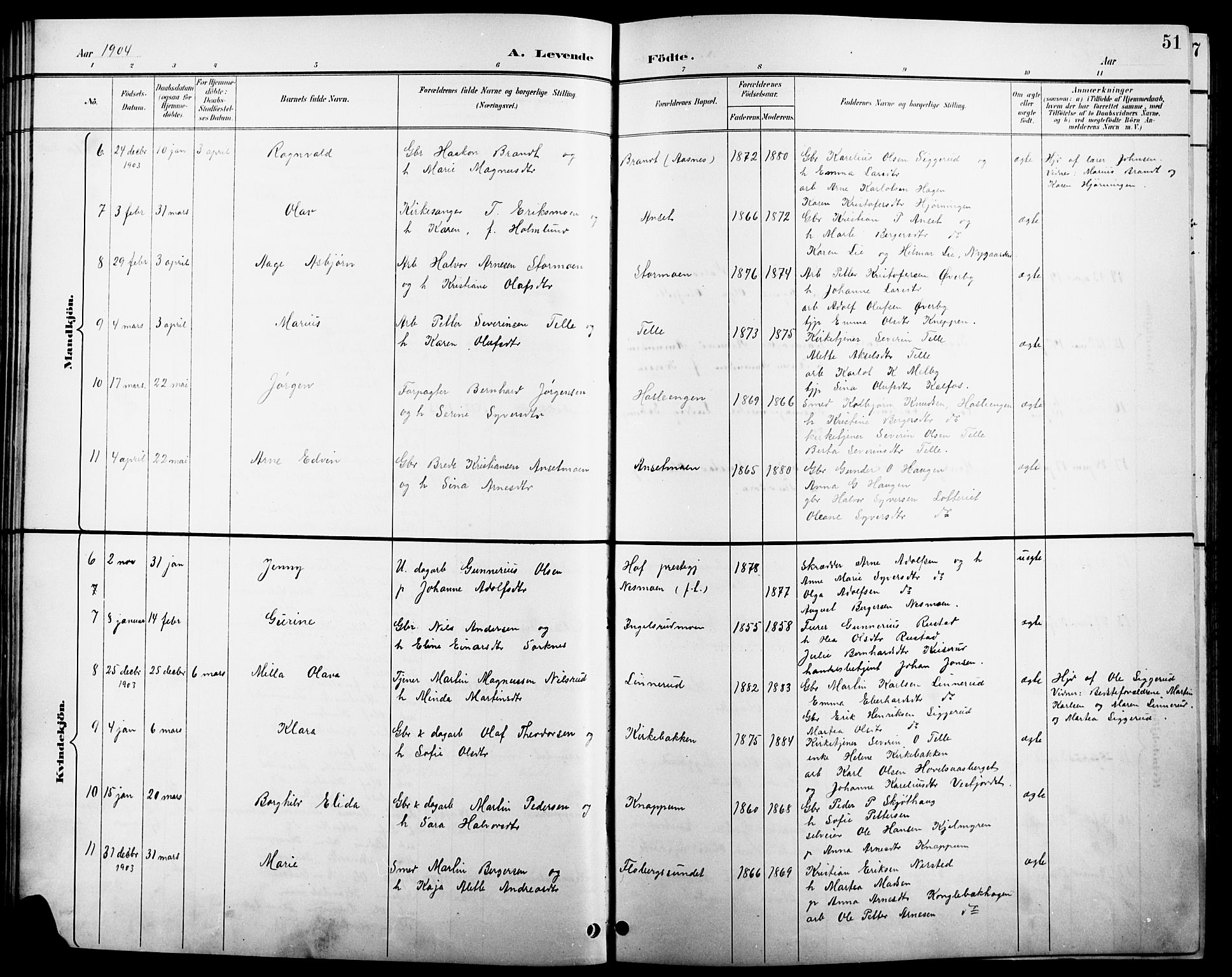 Åsnes prestekontor, AV/SAH-PREST-042/H/Ha/Hab/L0004: Parish register (copy) no. 4, 1895-1909, p. 51