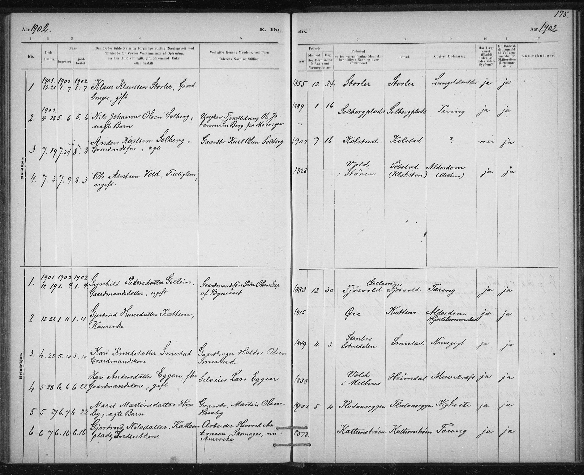 Ministerialprotokoller, klokkerbøker og fødselsregistre - Sør-Trøndelag, SAT/A-1456/613/L0392: Parish register (official) no. 613A01, 1887-1906, p. 175