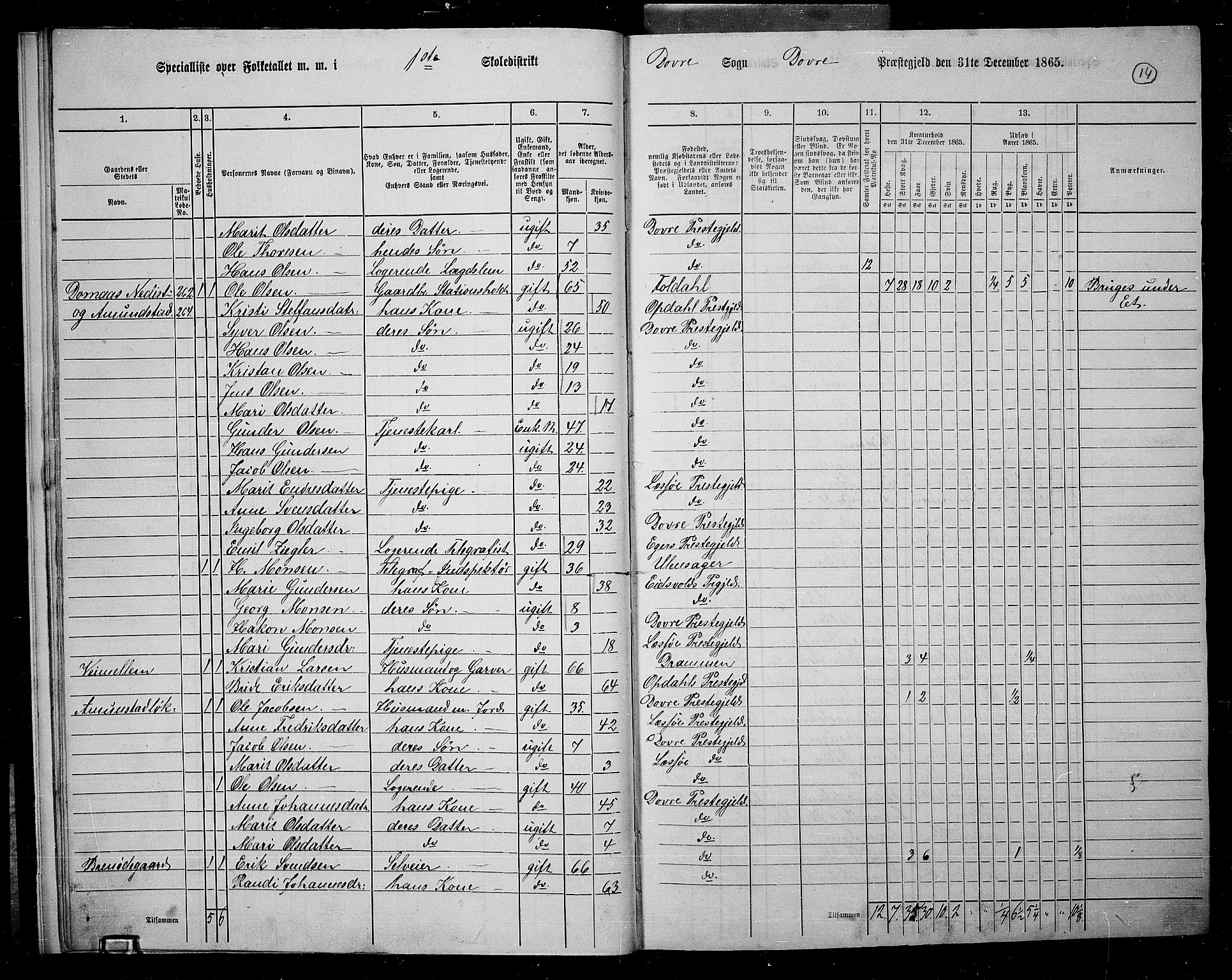 RA, 1865 census for Dovre, 1865, p. 15