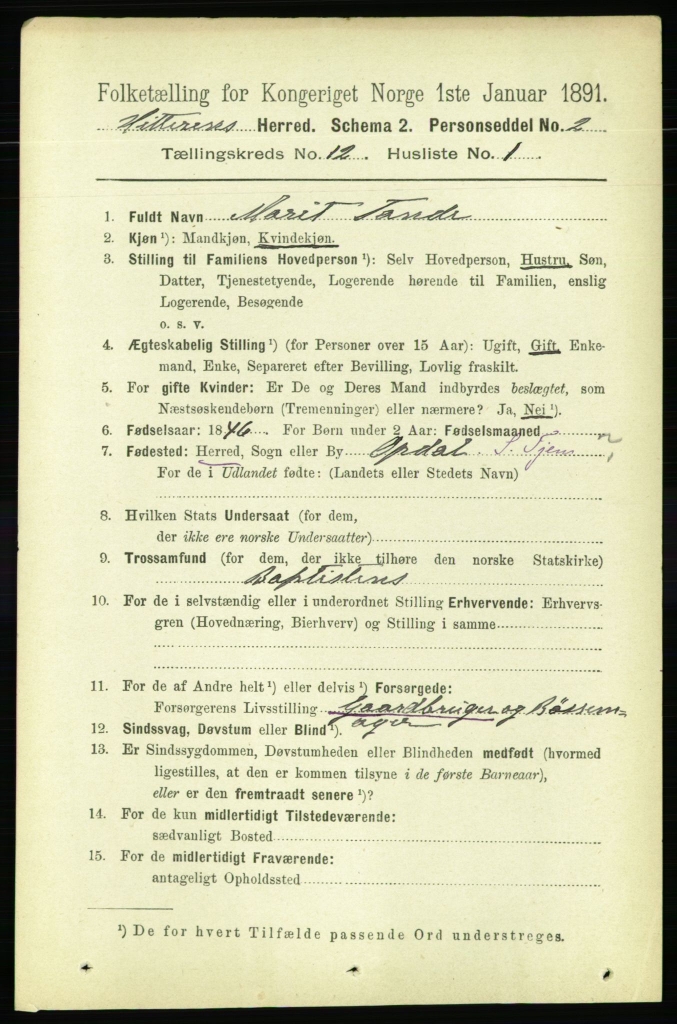 RA, 1891 census for 1617 Hitra, 1891, p. 2564