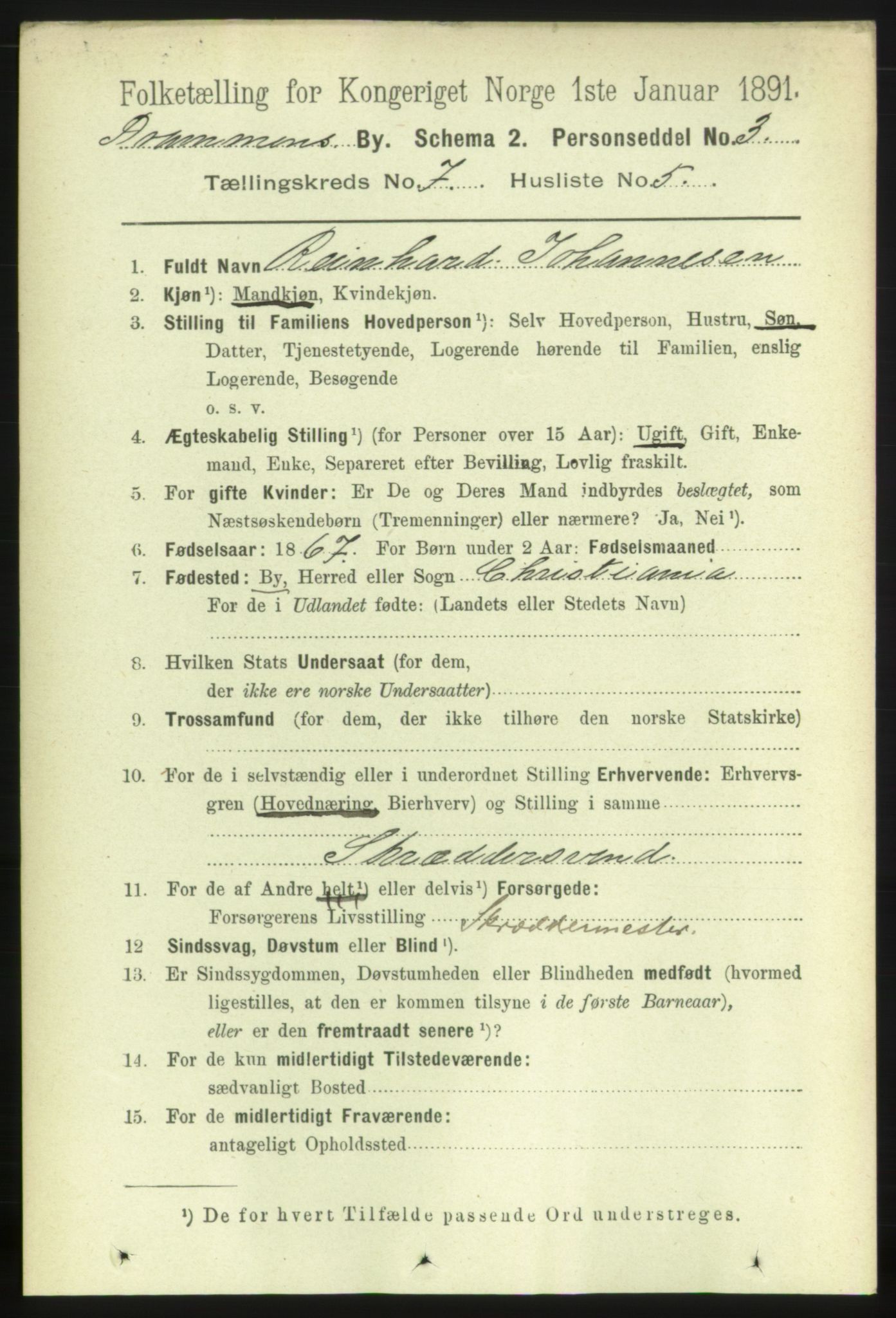 RA, 1891 census for 0602 Drammen, 1891, p. 6485