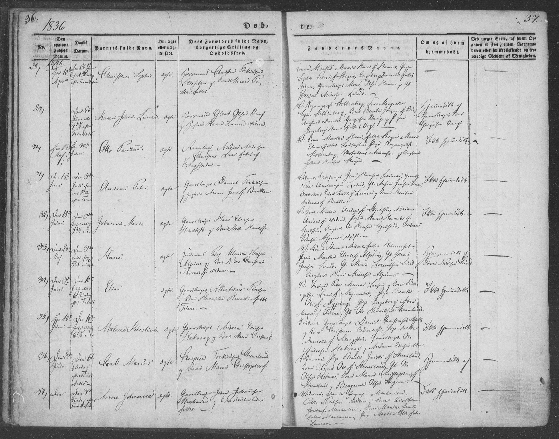 Ministerialprotokoller, klokkerbøker og fødselsregistre - Nordland, AV/SAT-A-1459/855/L0799: Parish register (official) no. 855A07, 1834-1852, p. 36-37