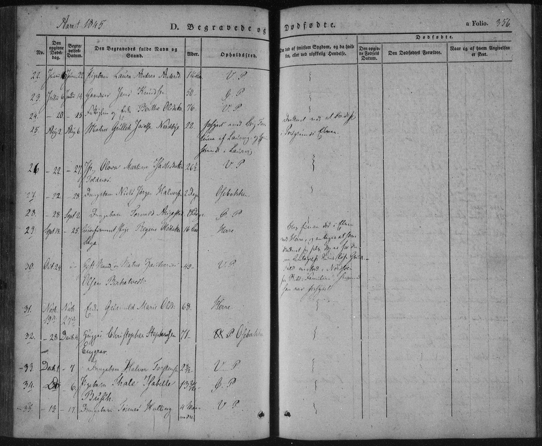 Porsgrunn kirkebøker , SAKO/A-104/F/Fa/L0006: Parish register (official) no. 6, 1841-1857, p. 356