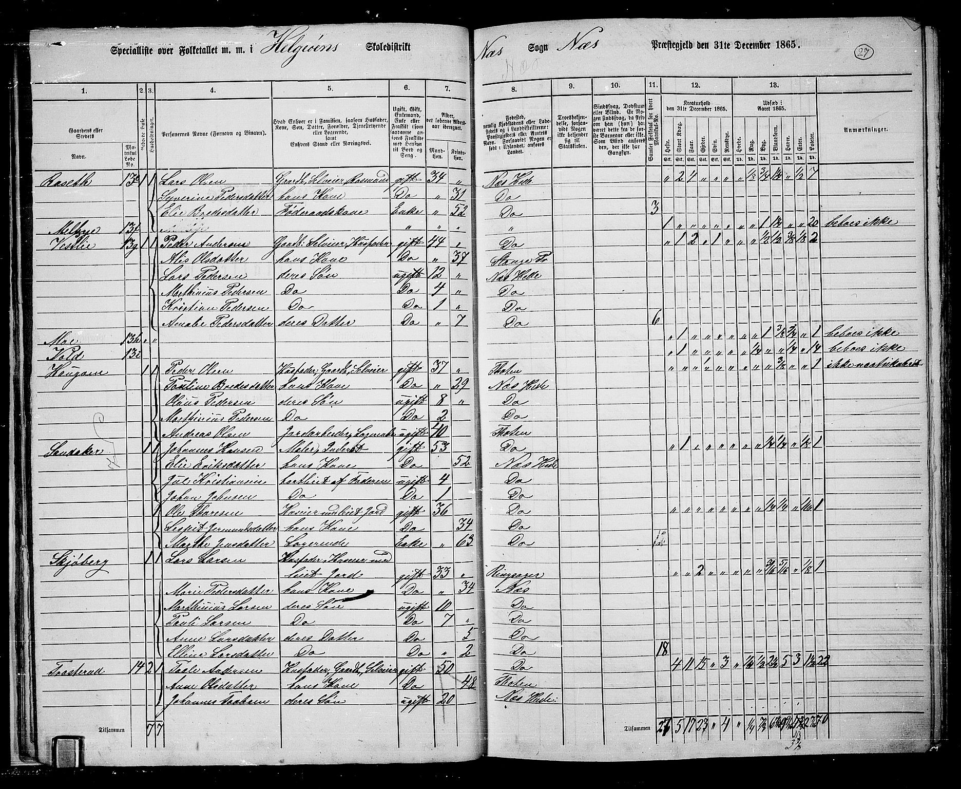 RA, 1865 census for Nes, 1865, p. 25