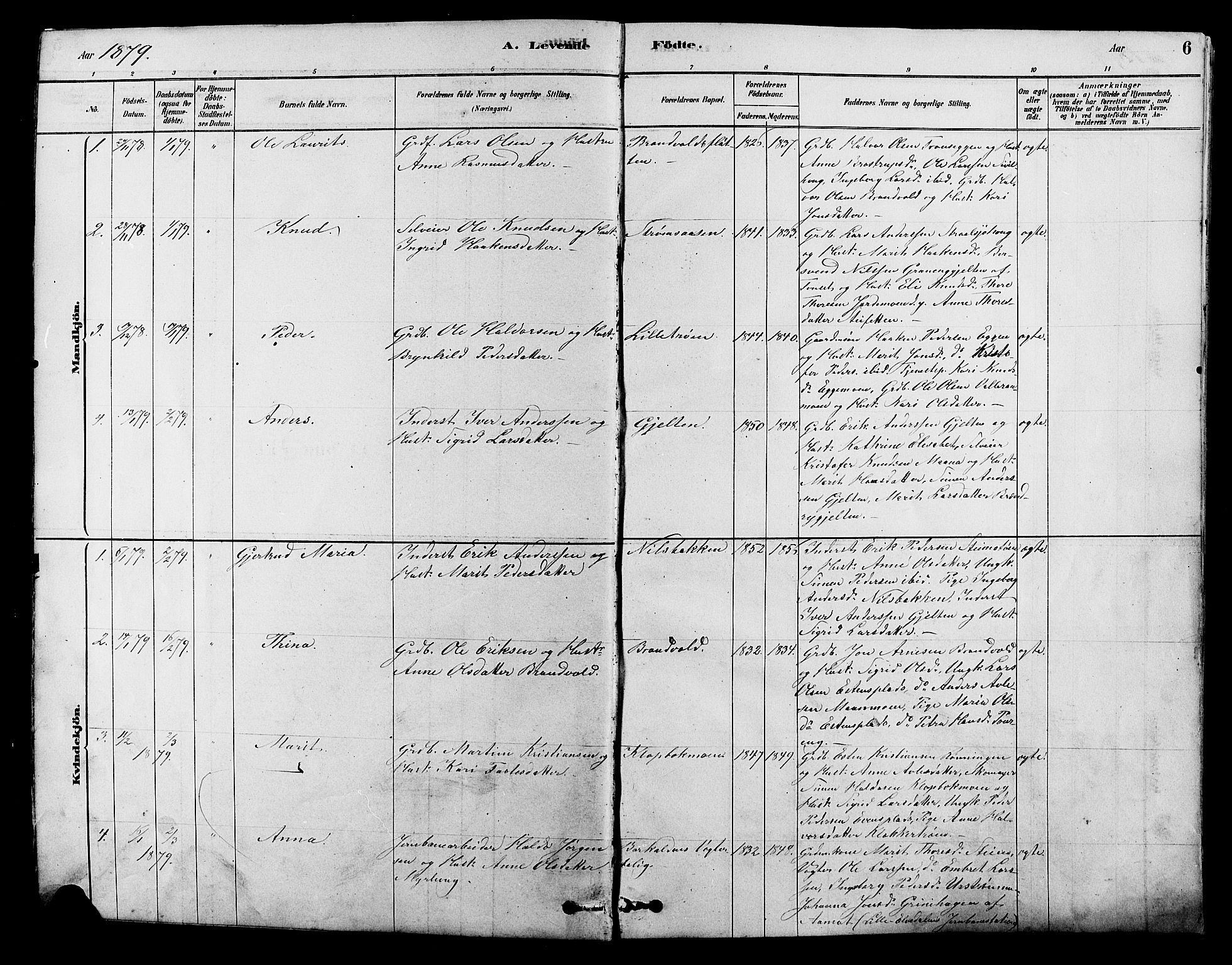 Alvdal prestekontor, AV/SAH-PREST-060/H/Ha/Hab/L0003: Parish register (copy) no. 3, 1878-1907, p. 6