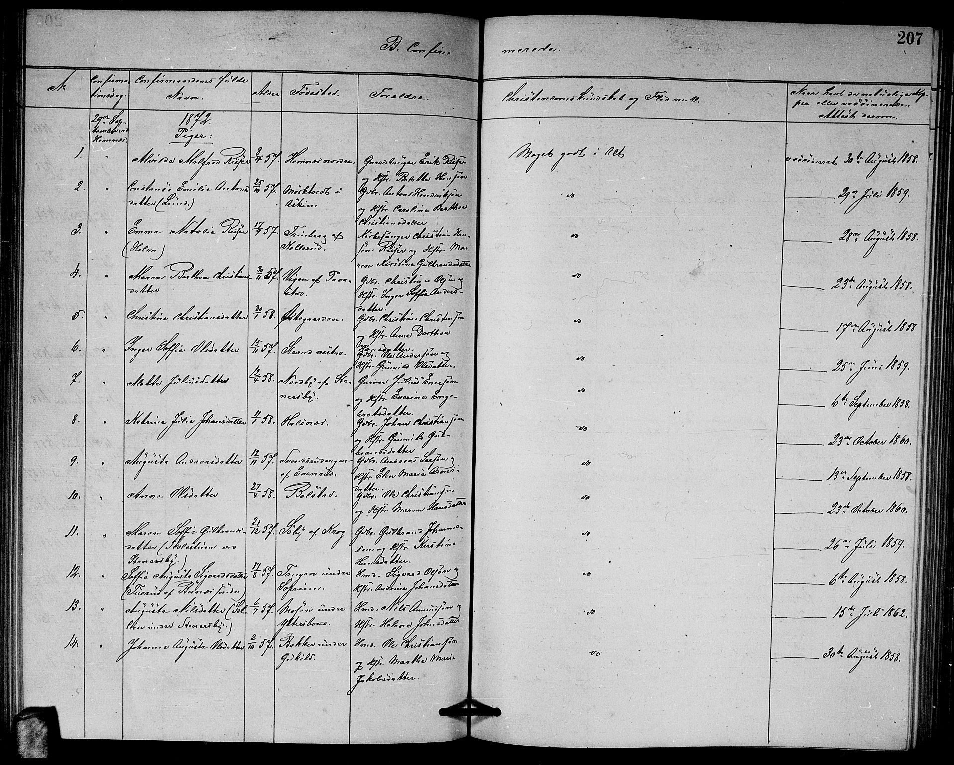 Høland prestekontor Kirkebøker, AV/SAO-A-10346a/G/Ga/L0006: Parish register (copy) no. I 6, 1869-1879, p. 207