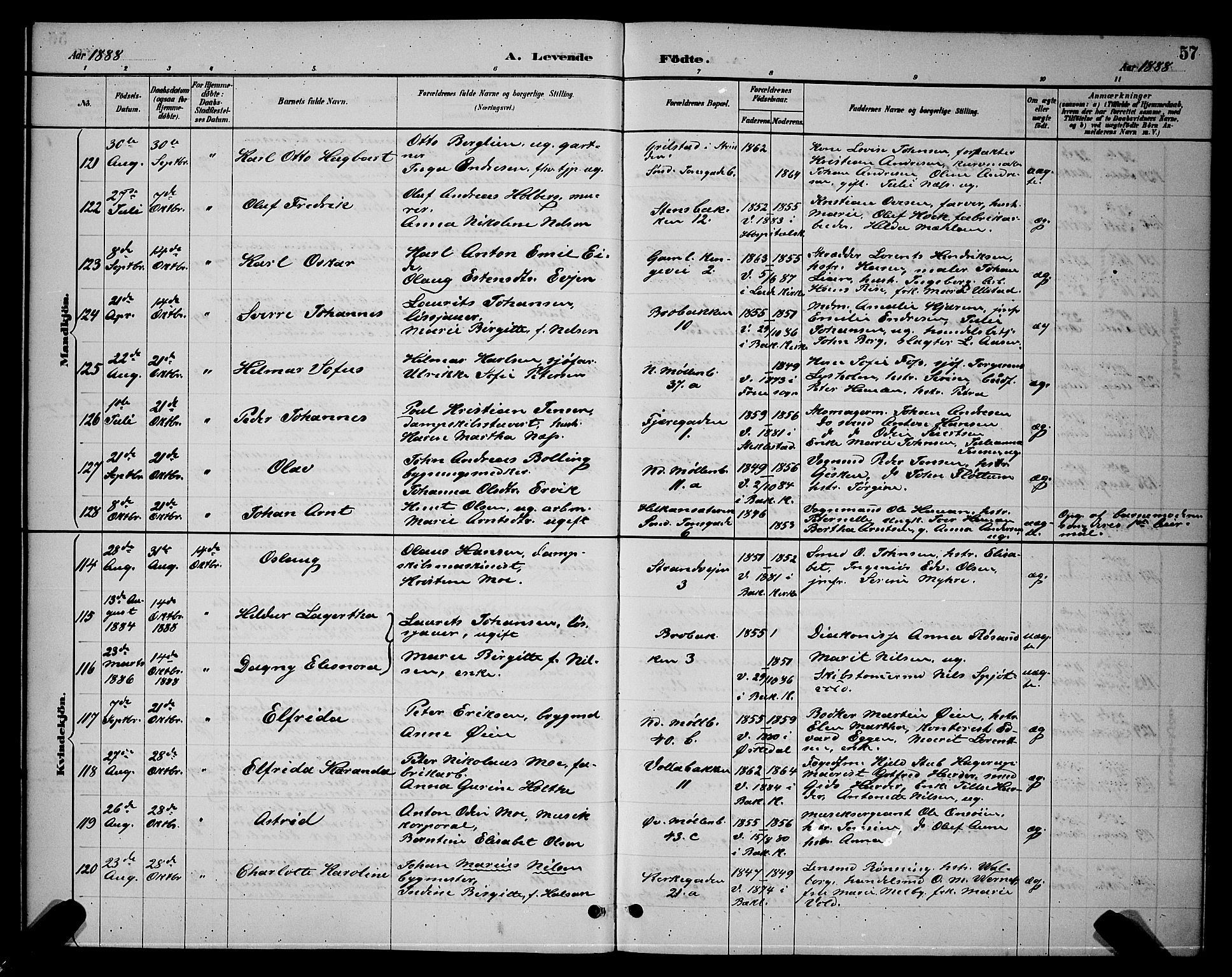 Ministerialprotokoller, klokkerbøker og fødselsregistre - Sør-Trøndelag, AV/SAT-A-1456/604/L0222: Parish register (copy) no. 604C05, 1886-1895, p. 57